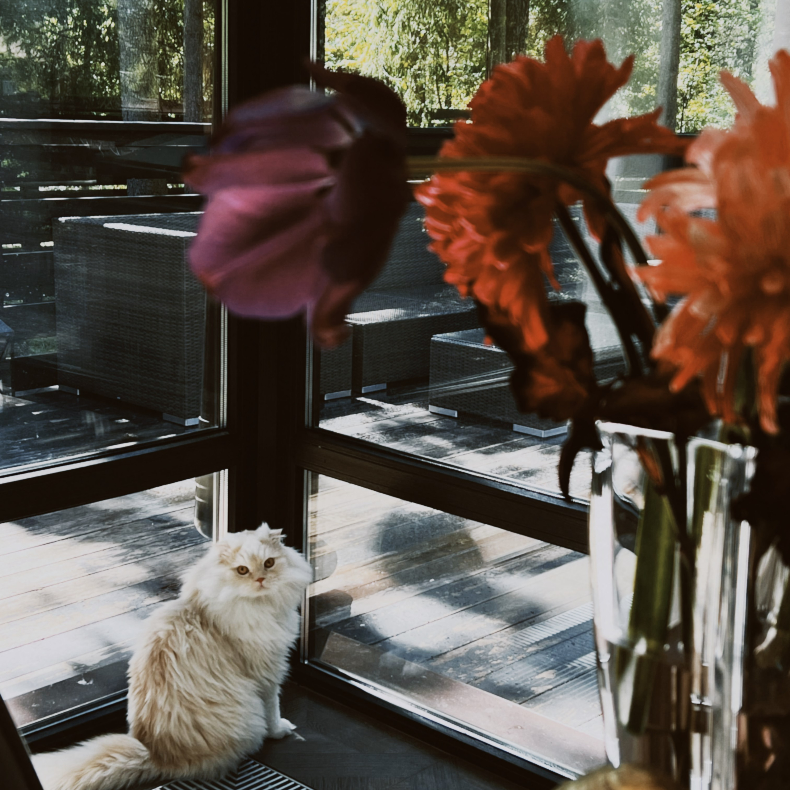 Soul blog. Фотограф Евгения Соул Москва