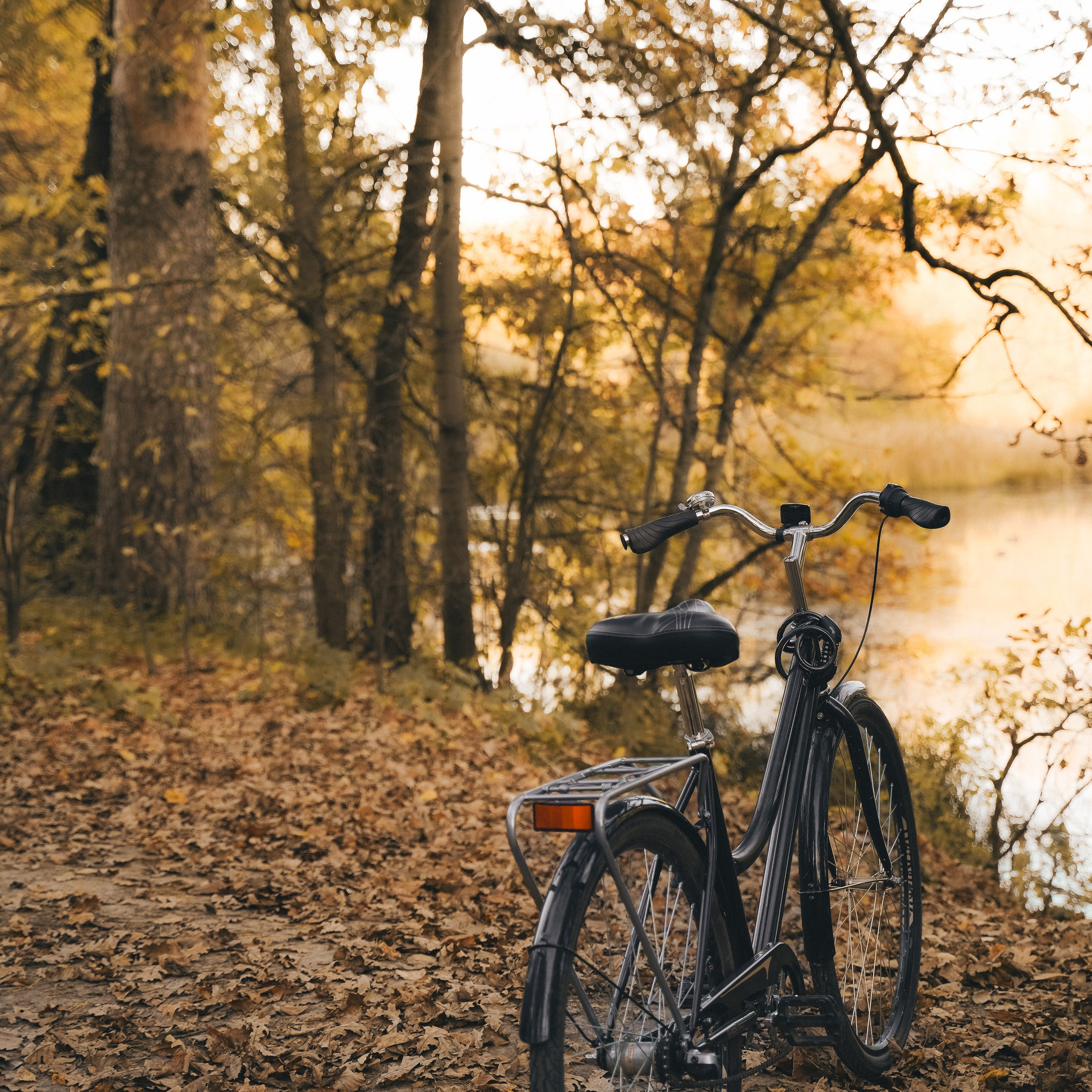 Фото истории