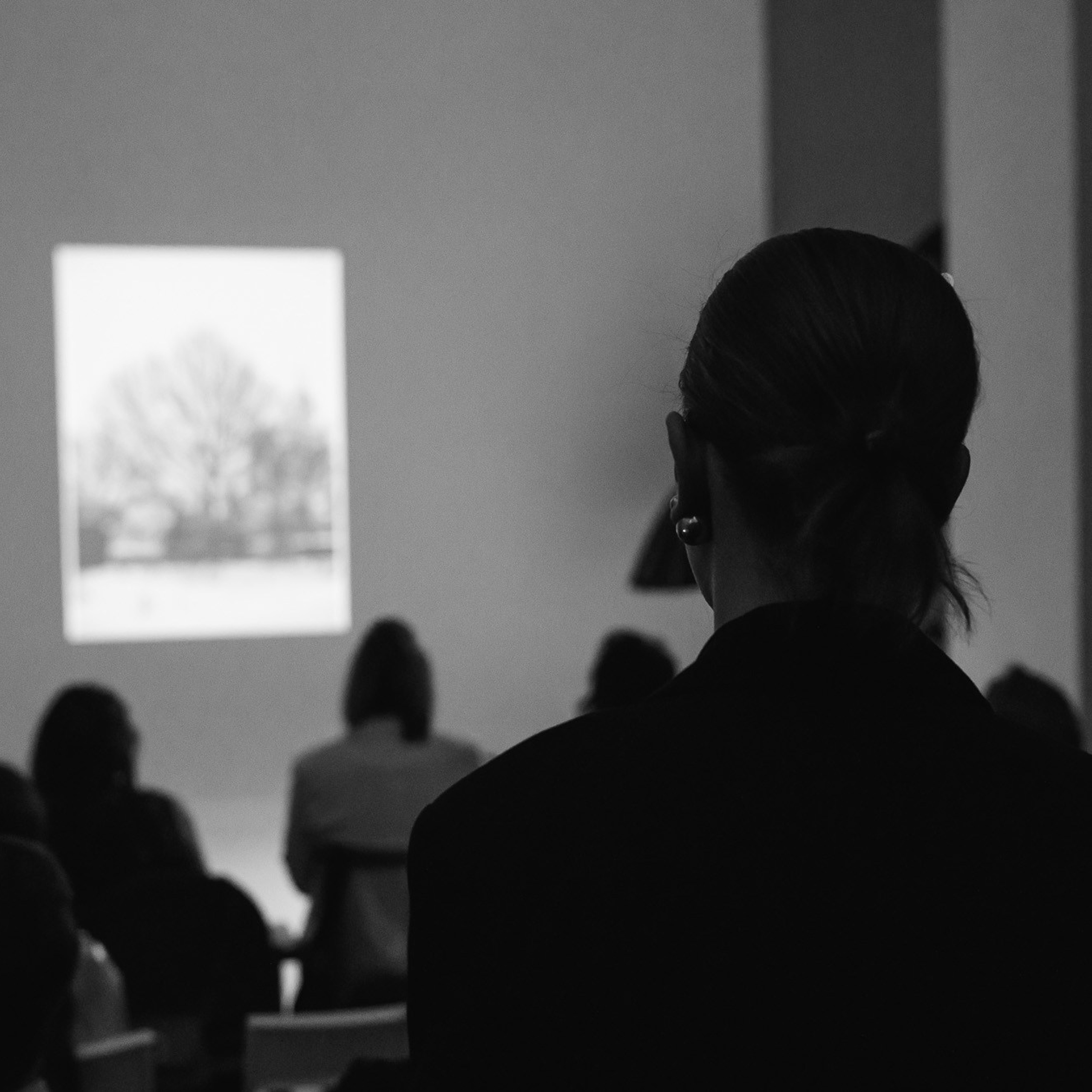 Фотопоказ «Каркас»