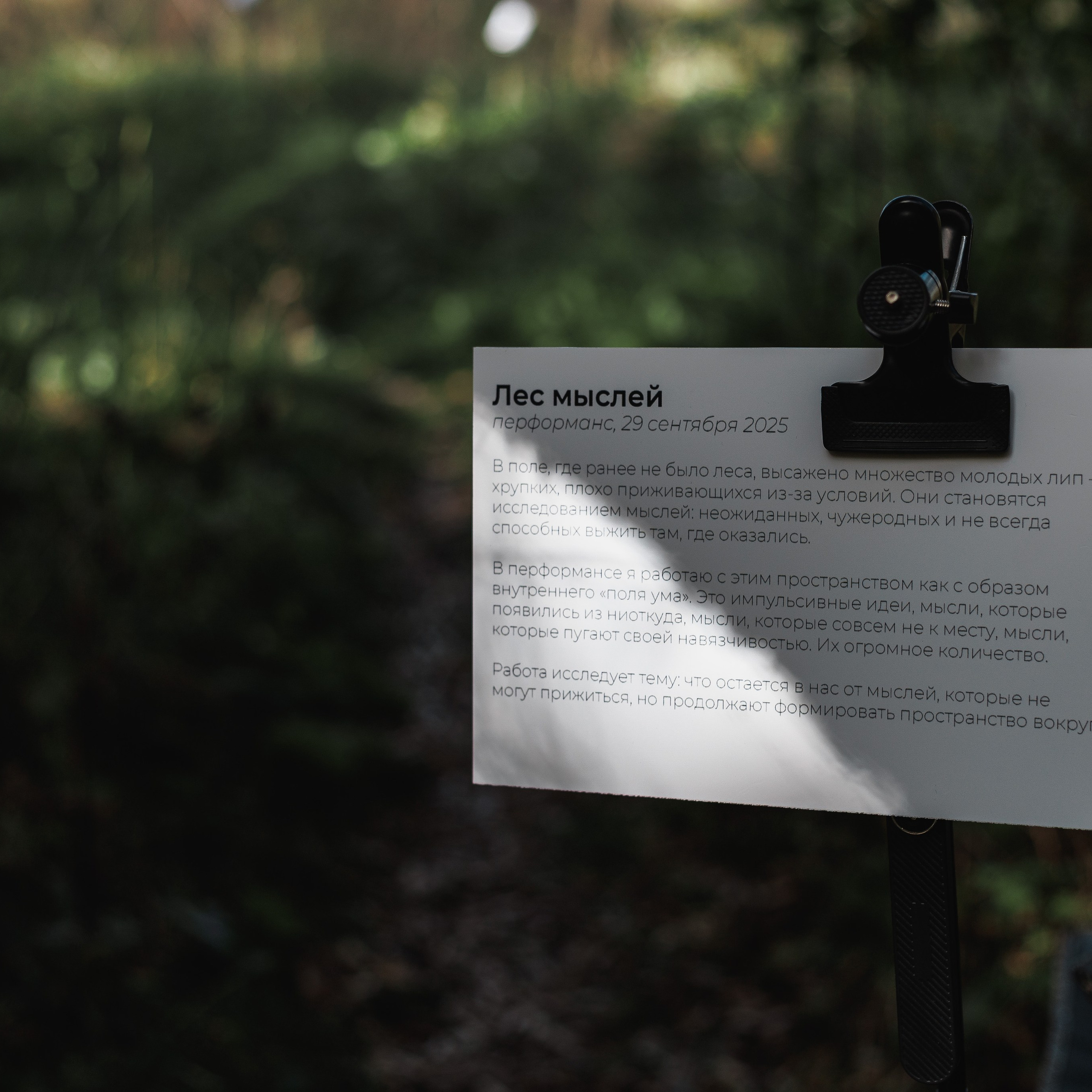 Съемка перформанса