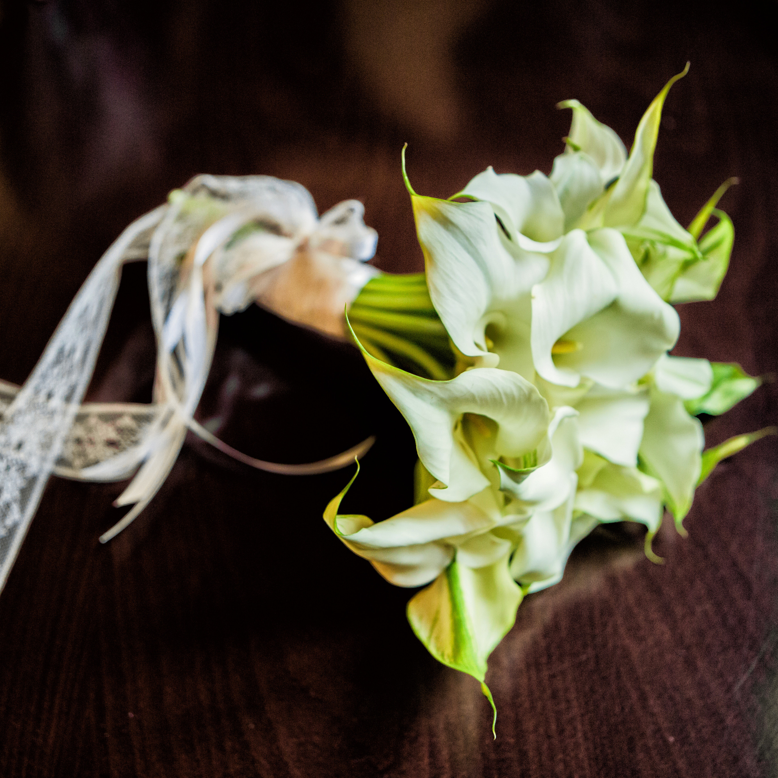 Катя, Дмитрий, Анюта и Ванюша). Детский, свадебный и семейный фотограф Юлия Курбатова, Санкт-Петербург