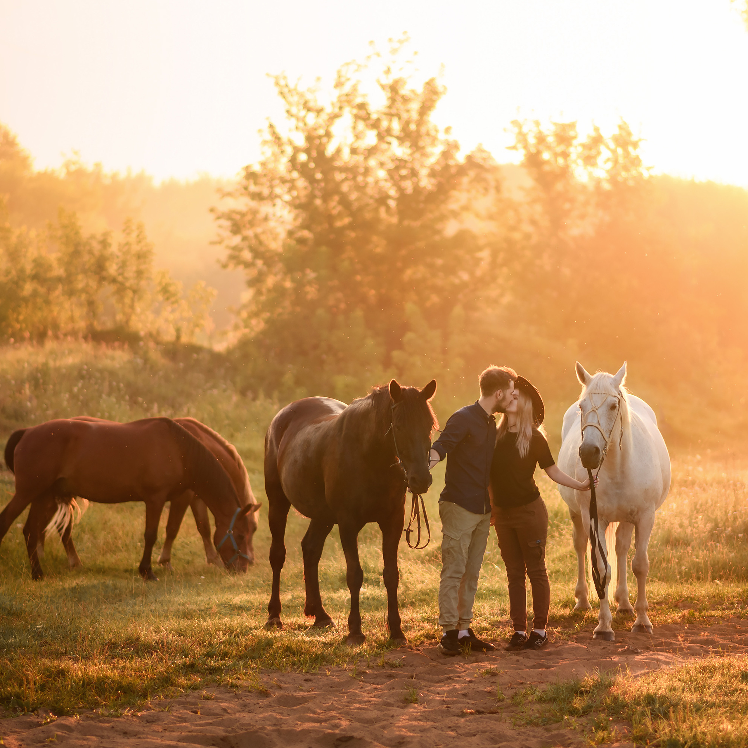 Love story с лошадьми