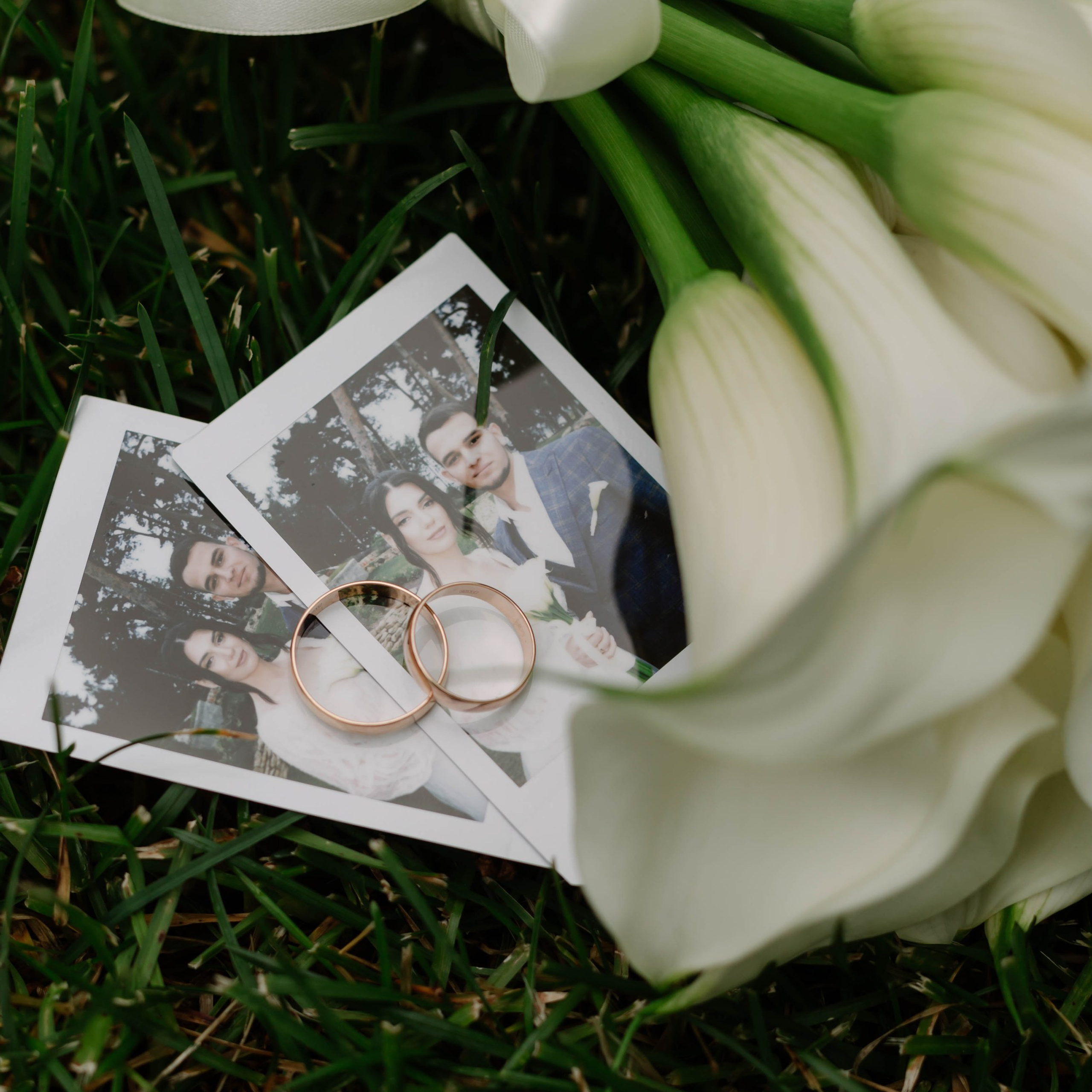 Анастасия и Даниил