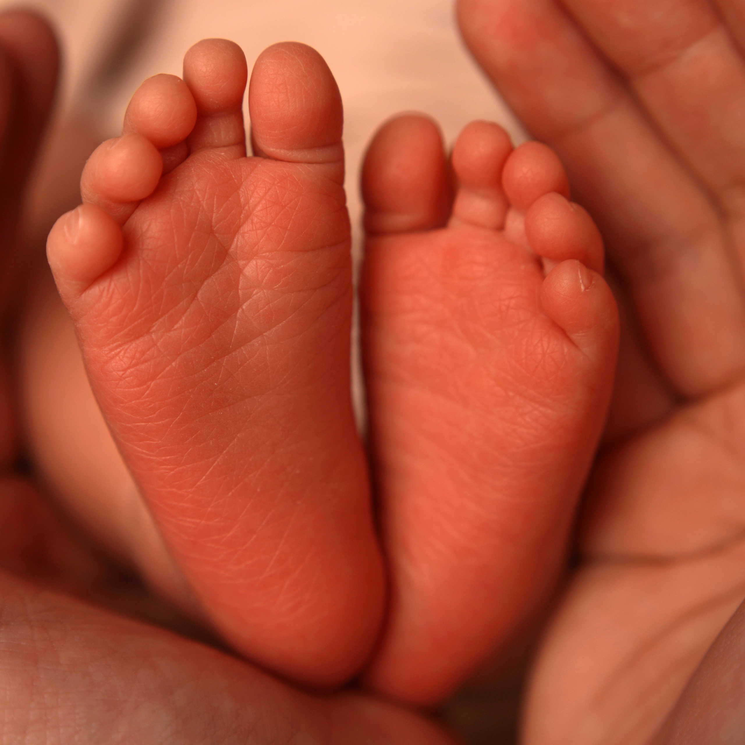 Макро кадры