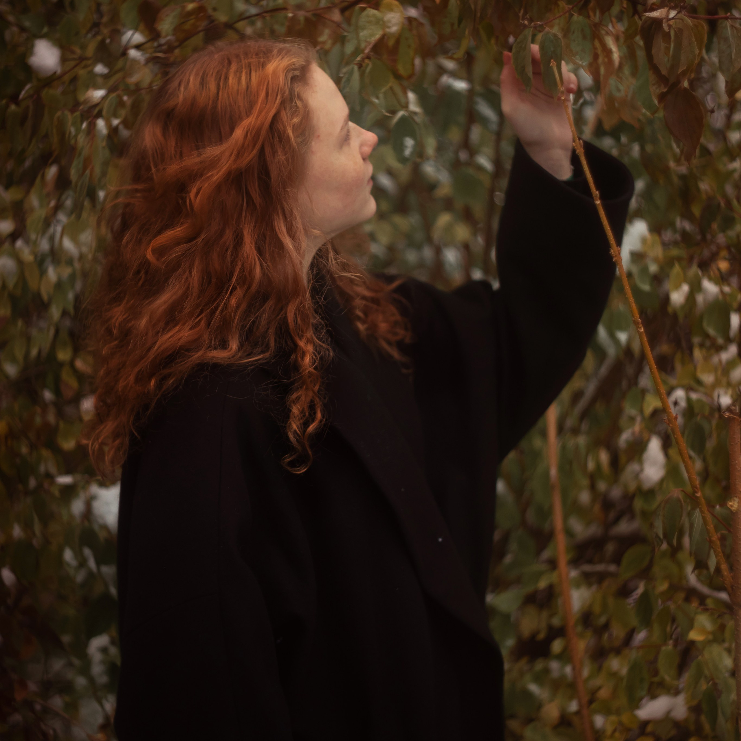 Отзывы. Фотограф Валентина Волкова. Москва, Апрелевка, Переделкино