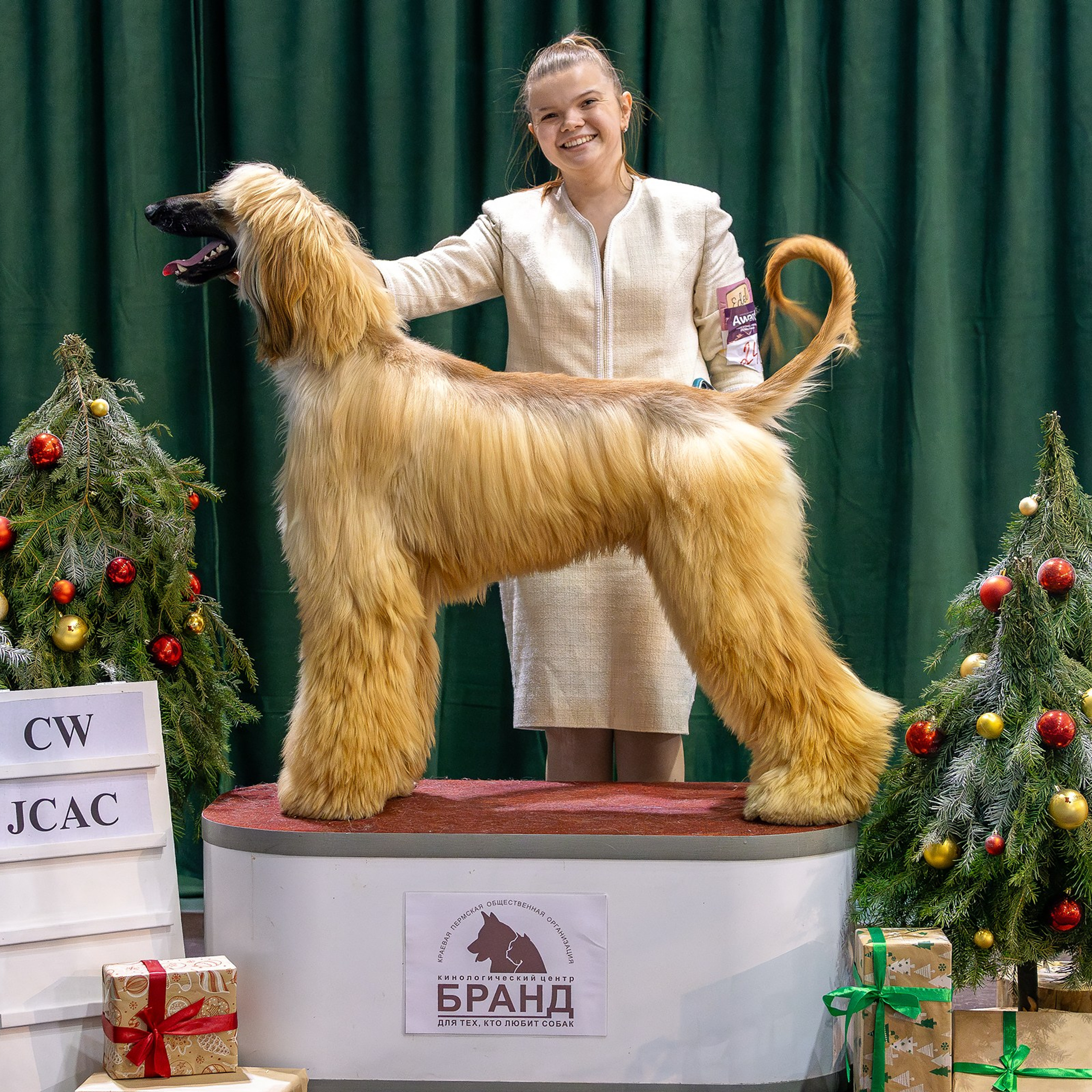 8 декабря 2024, Выставка РКФ, г. Пермь