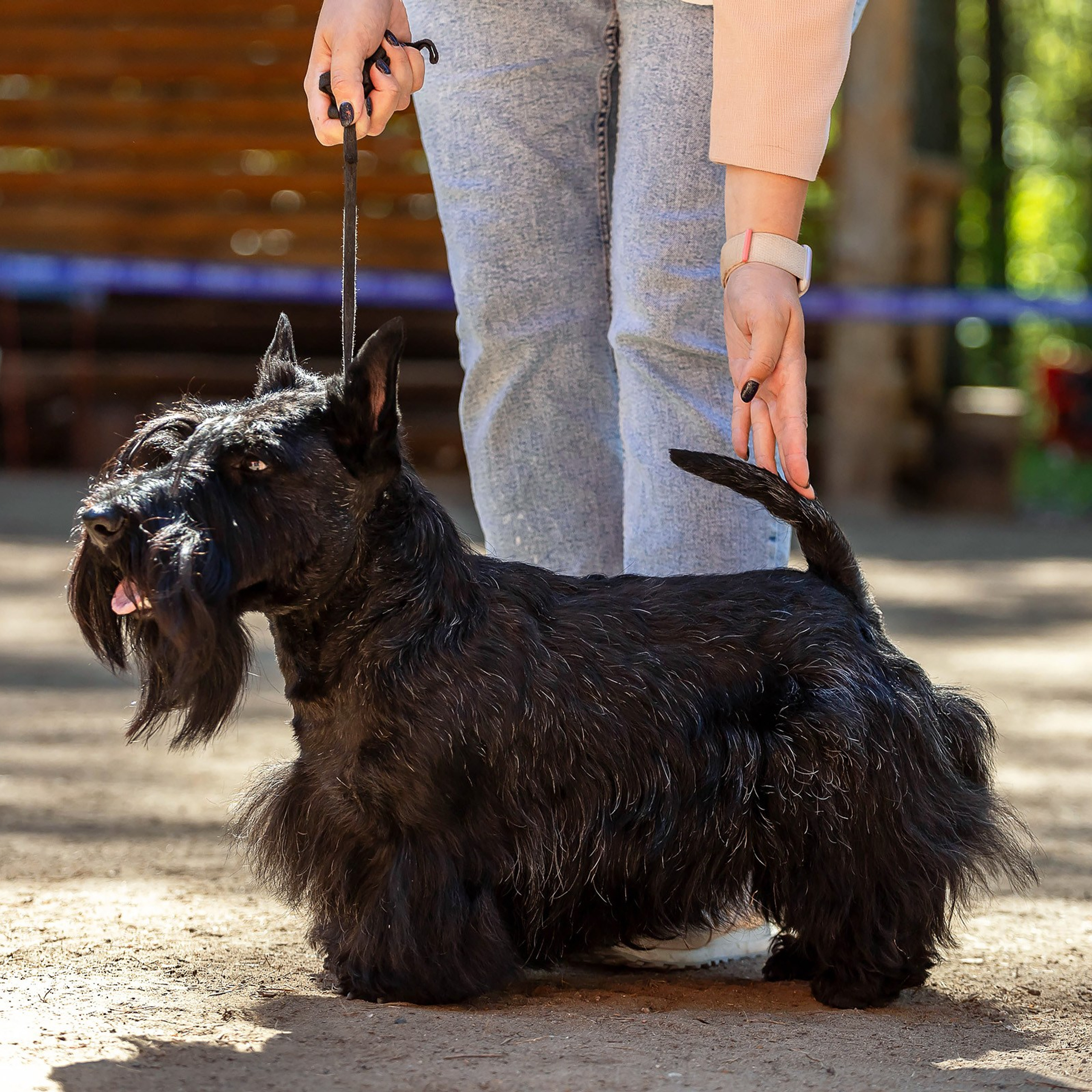 2 июня 2024, Выставка РКФ, г. Пермь