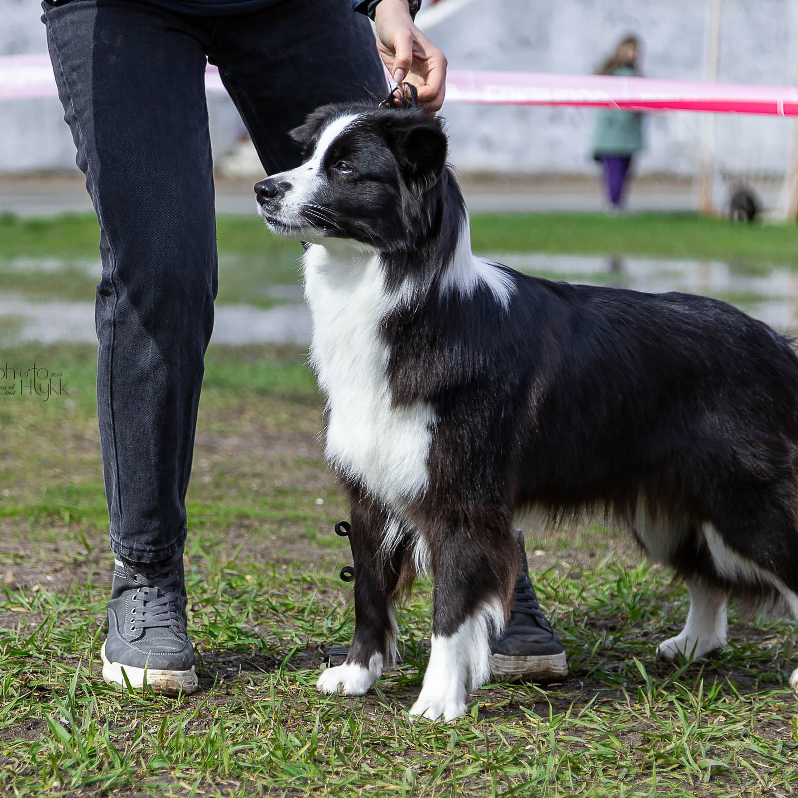 12 мая 2024, Выставка РКФ, г. Пермь