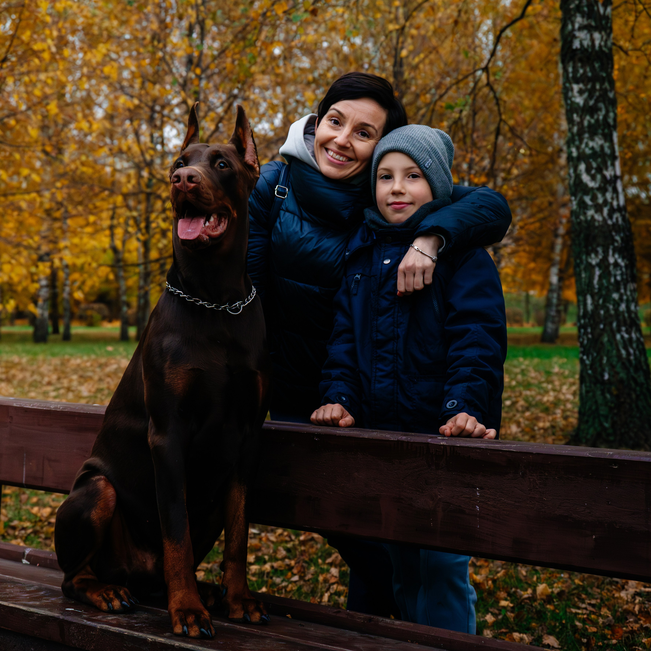 семья Стенцель