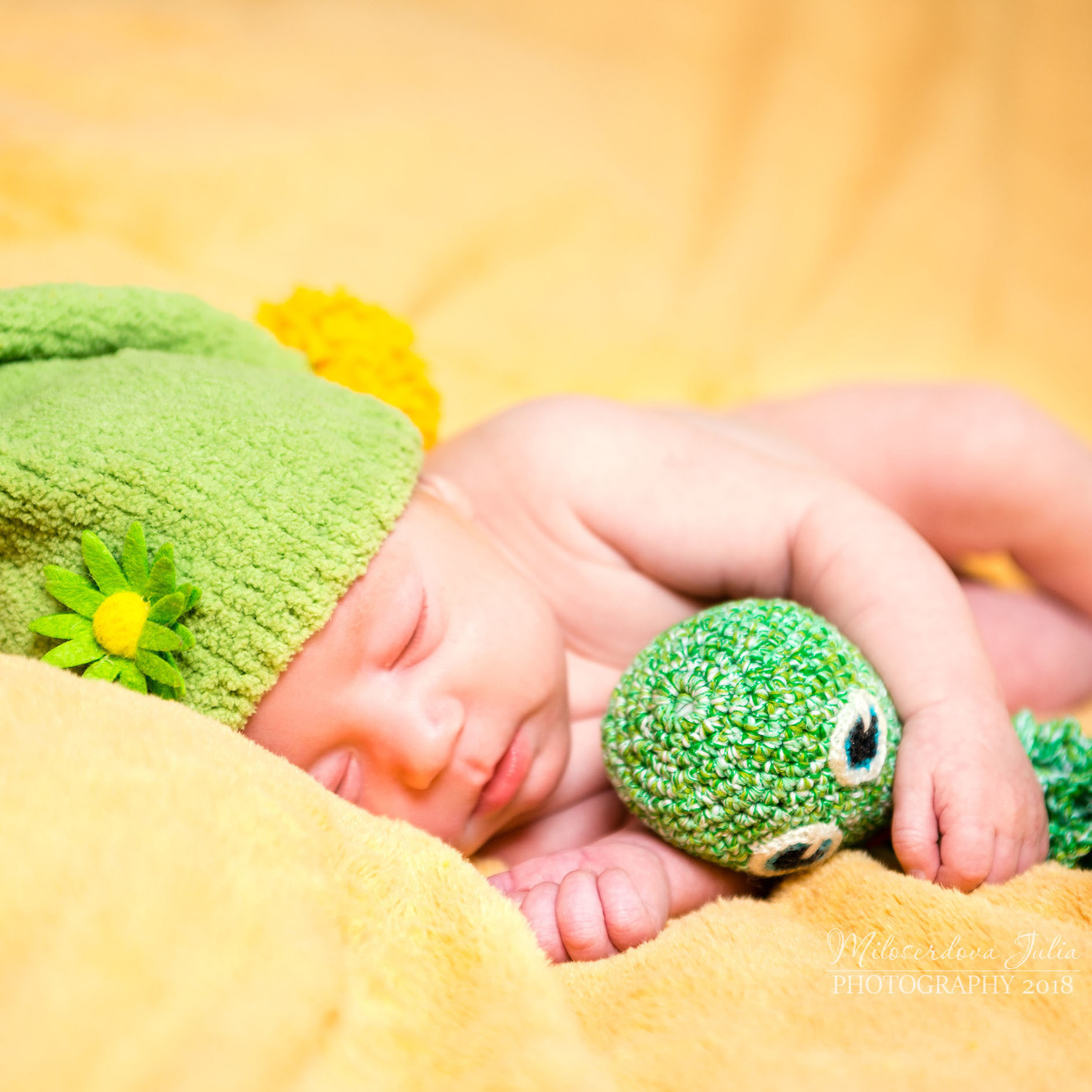 Отзывы. Фотограф Юлия Милосердова