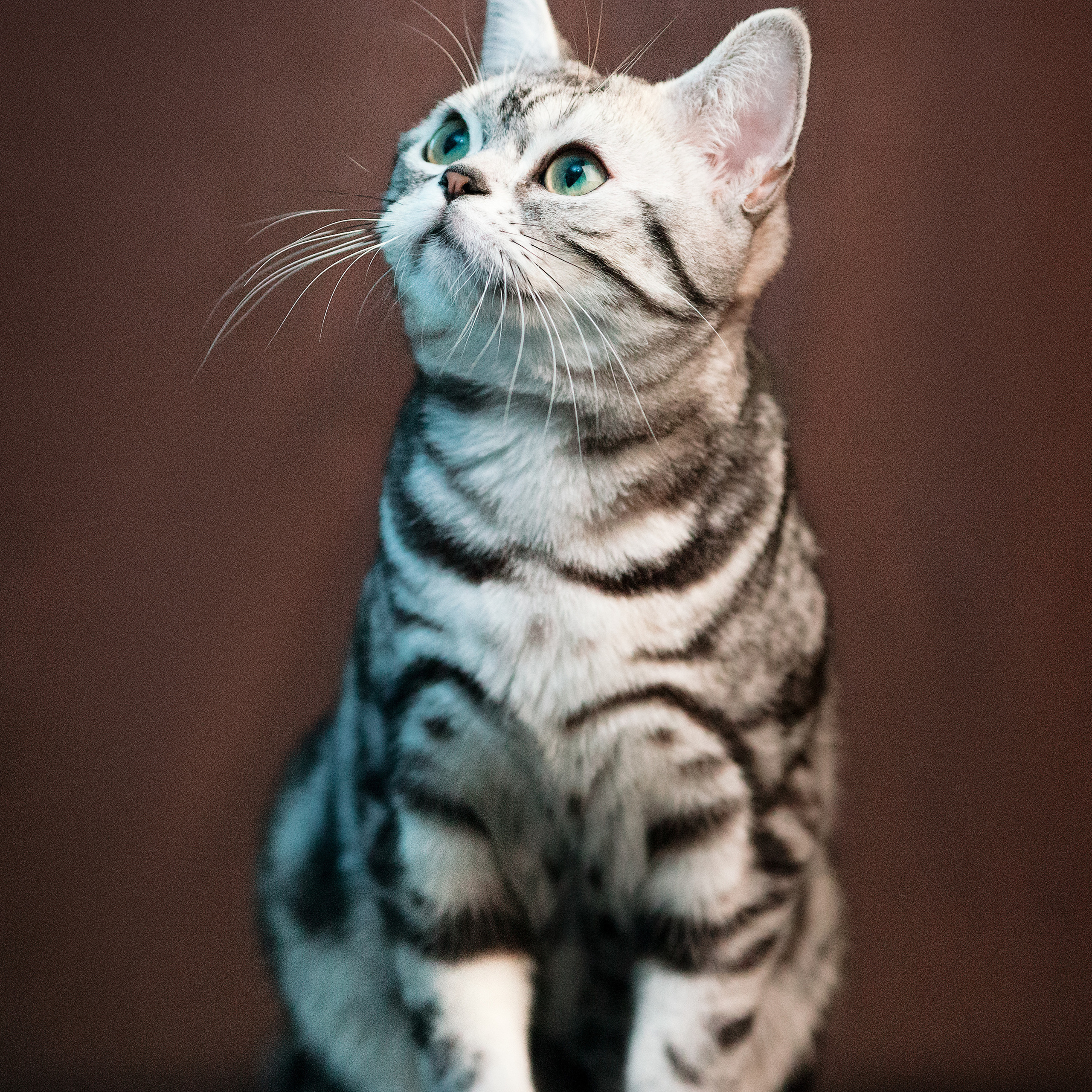 Отзывы. Фотограф Юлия Милосердова