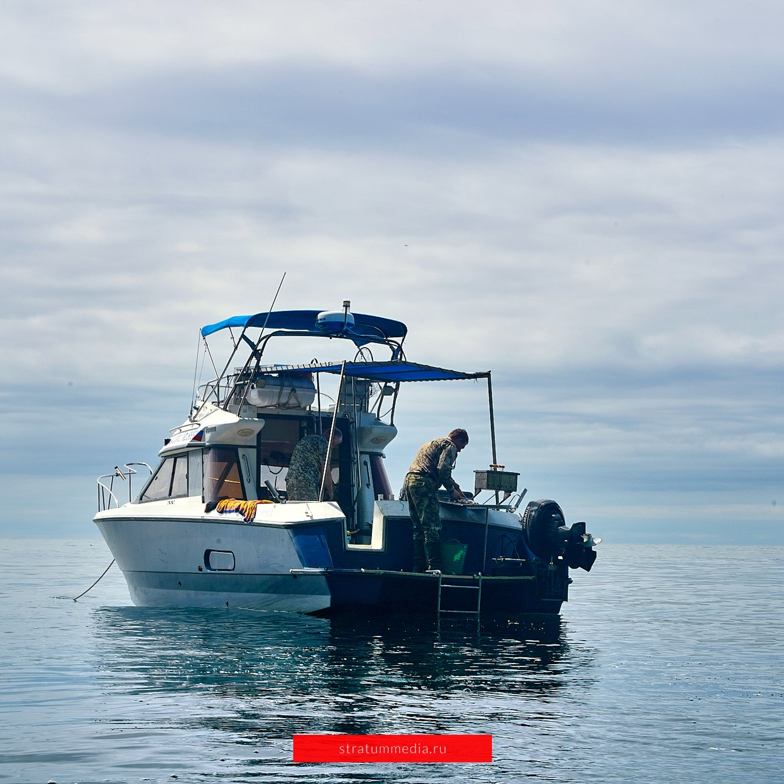 Отзывы. Stratum Media — Фото-Видео Съемки