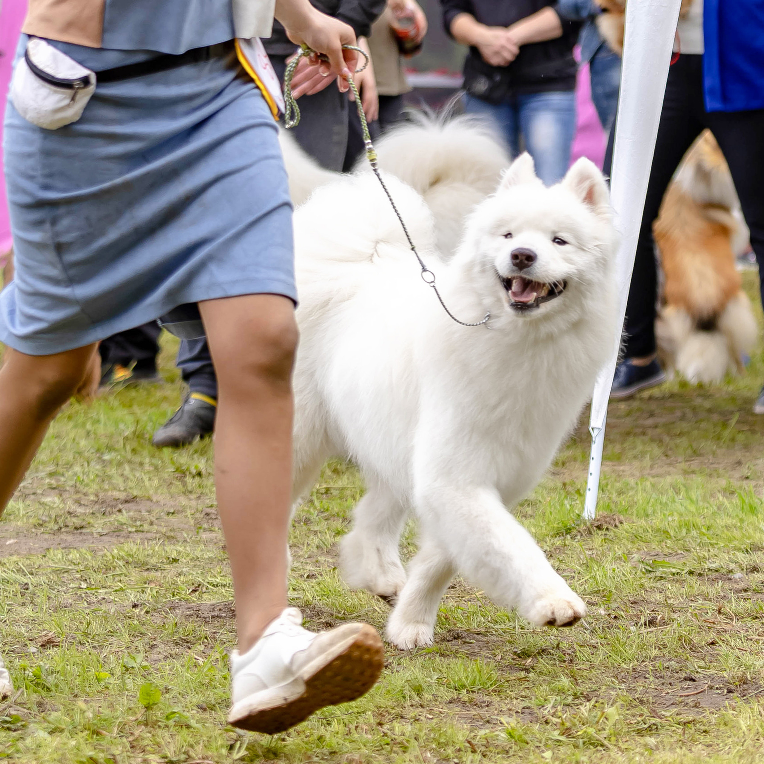 Отзывы. Https://moshkovaphoto.ru/