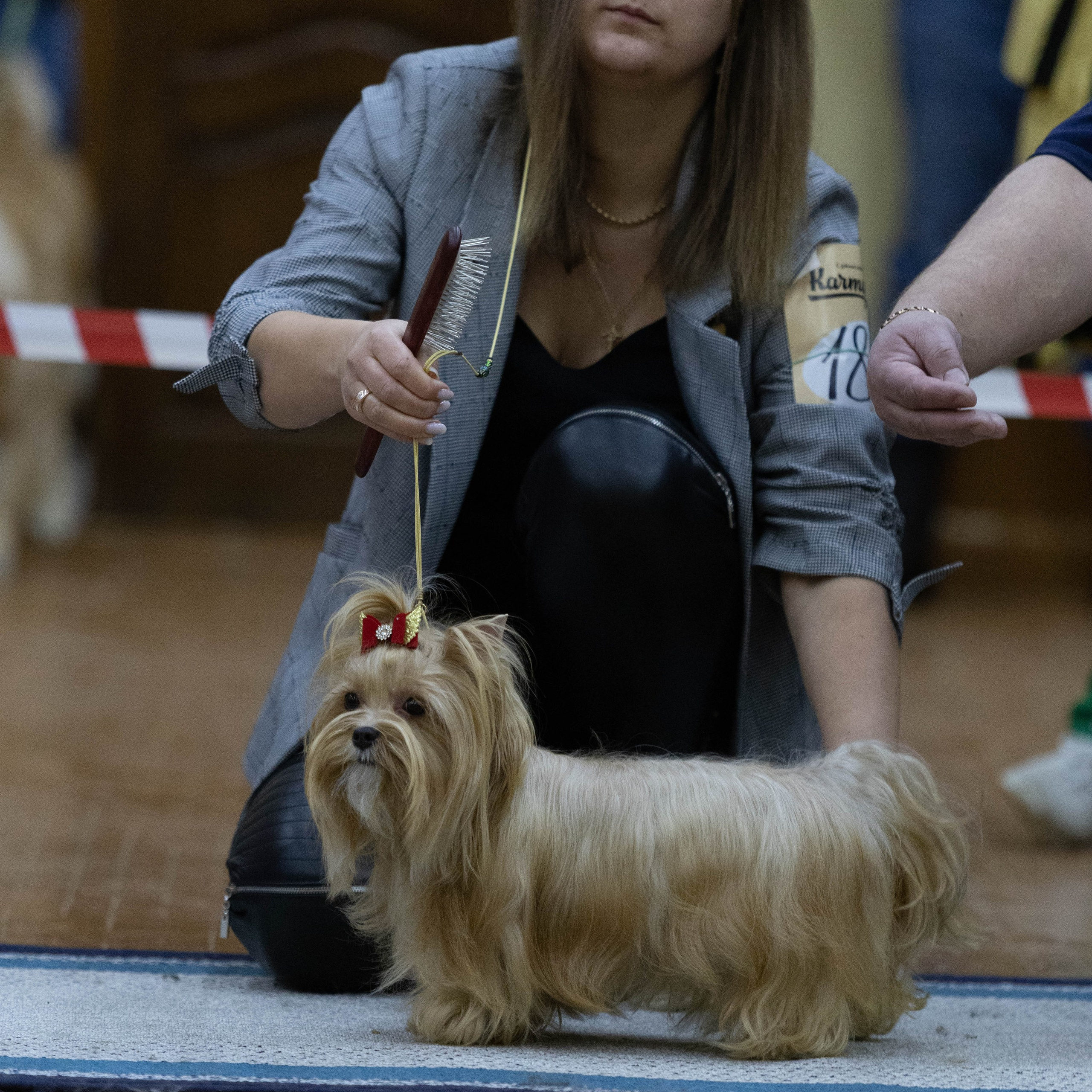 Отзывы. Https://moshkovaphoto.ru/