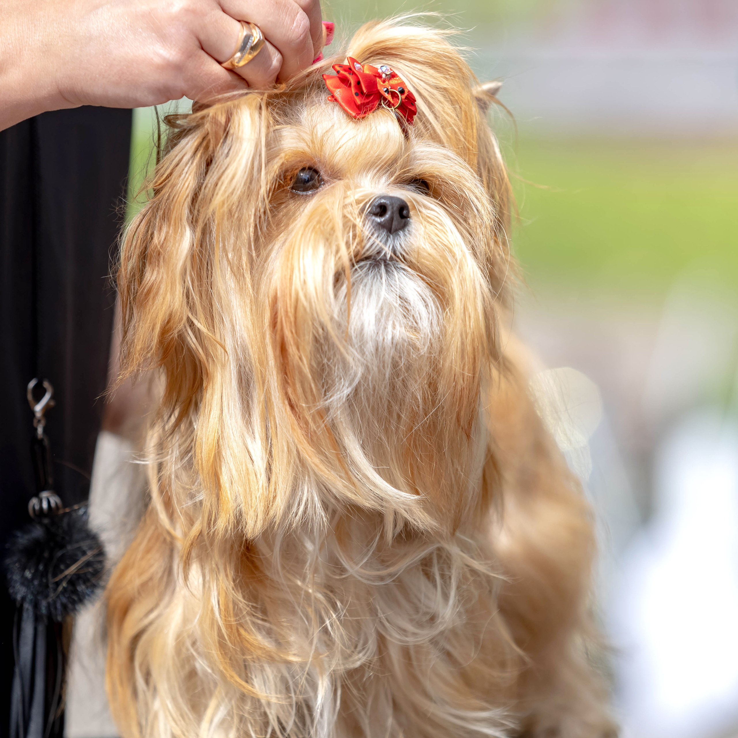 Отзывы. Https://moshkovaphoto.ru/