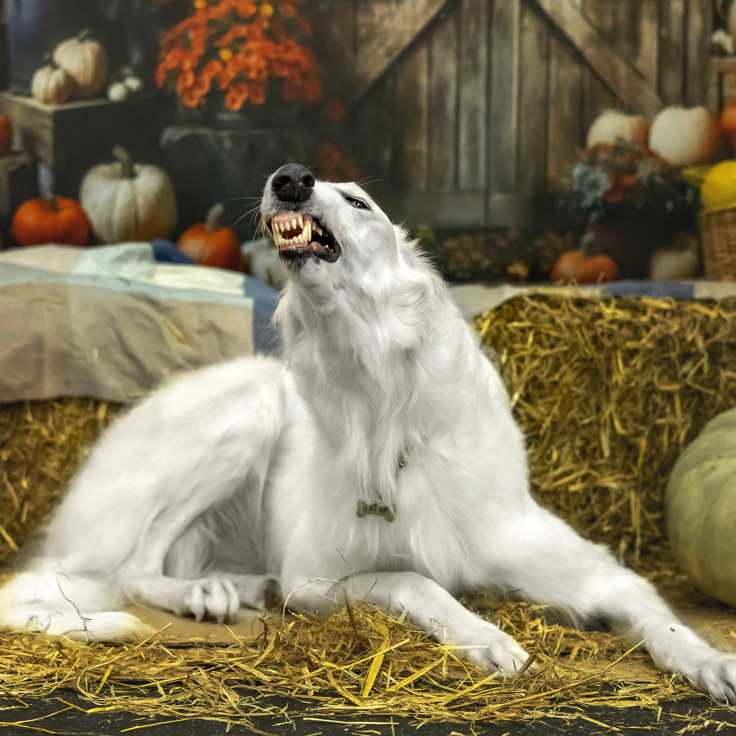 Слава и Ольга