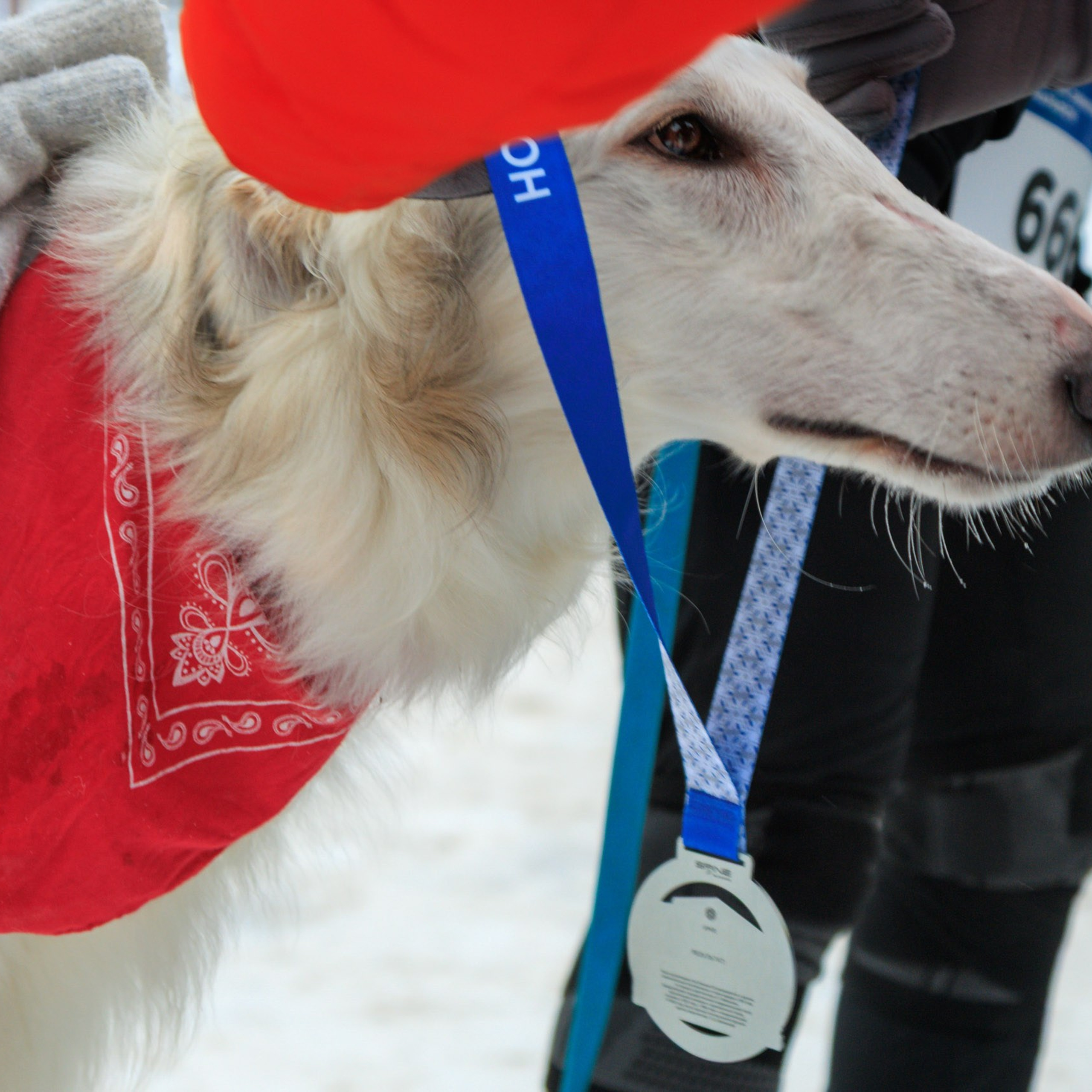 ЕвропаАзия | Зимний полумарафон