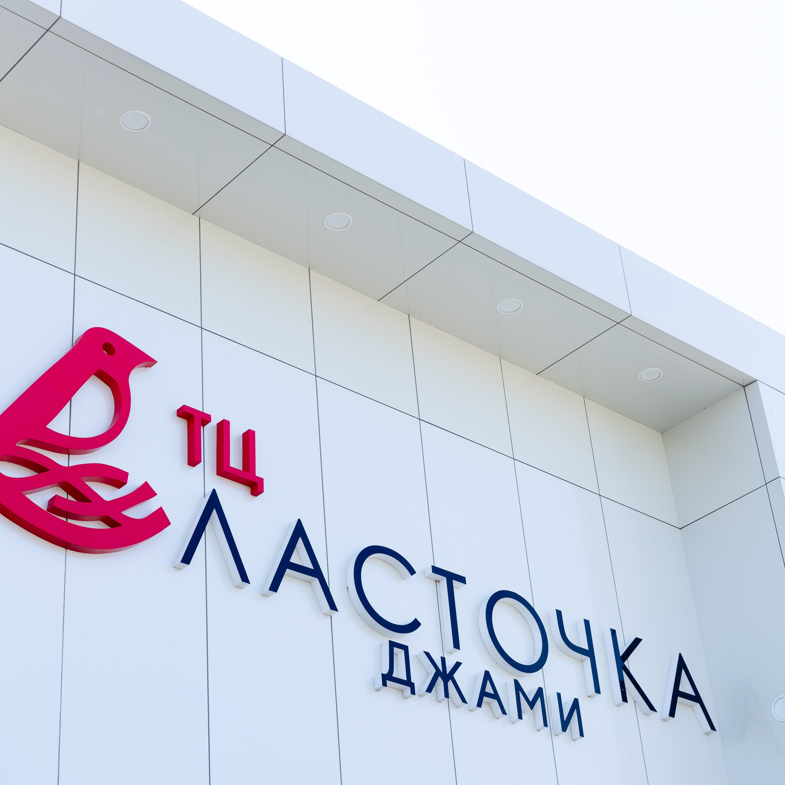 ТЦ&nbsp;Ласточка Джами