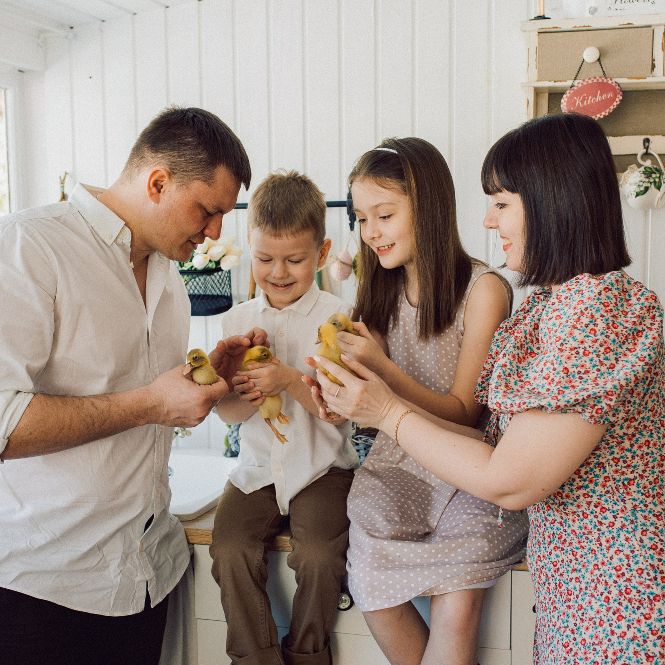 утиные истории