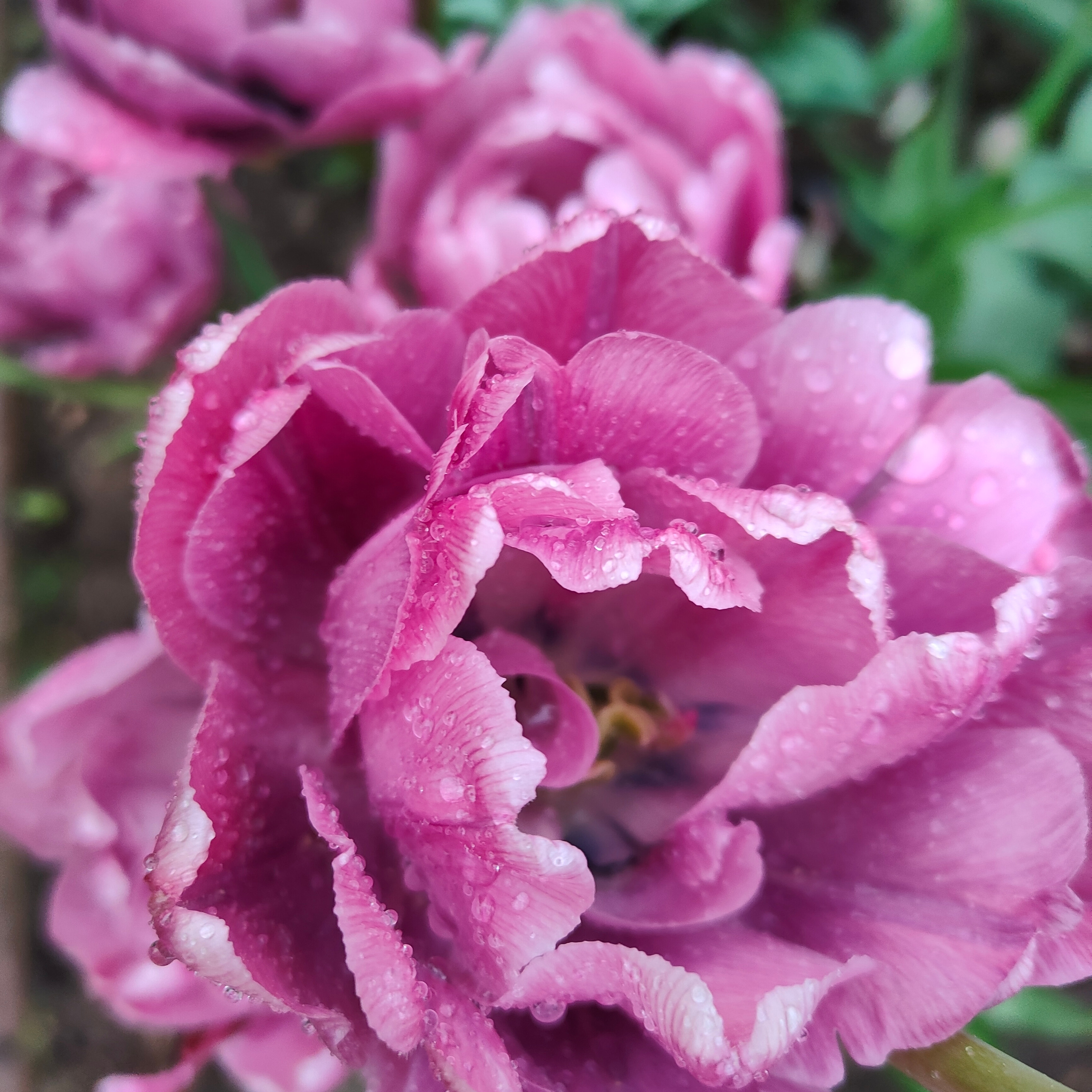 Отзывы. Семейный и женский фотограф в Москве Ирина Романова