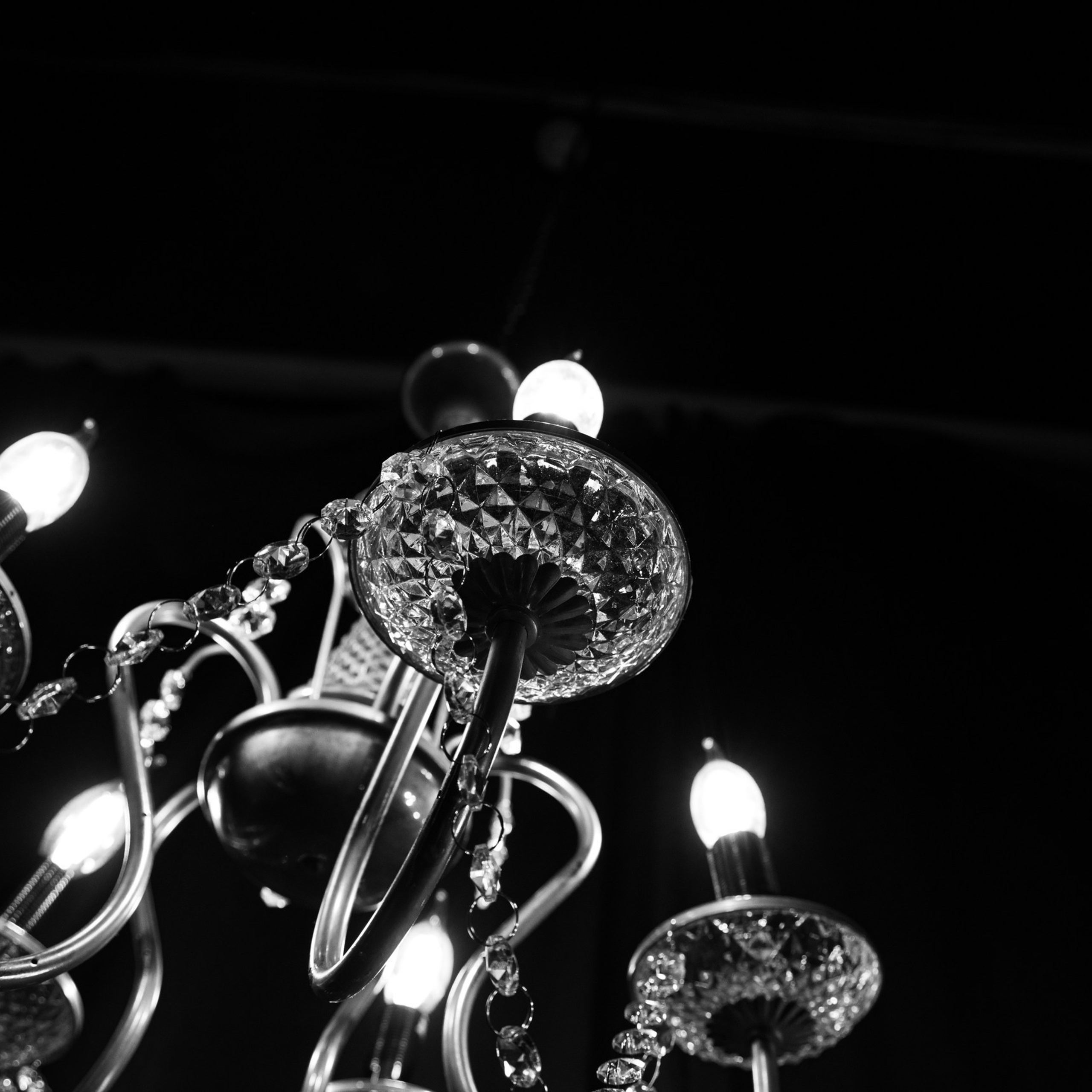 Отзывы. Фотограф в Астрахани Юлия Мирзаева