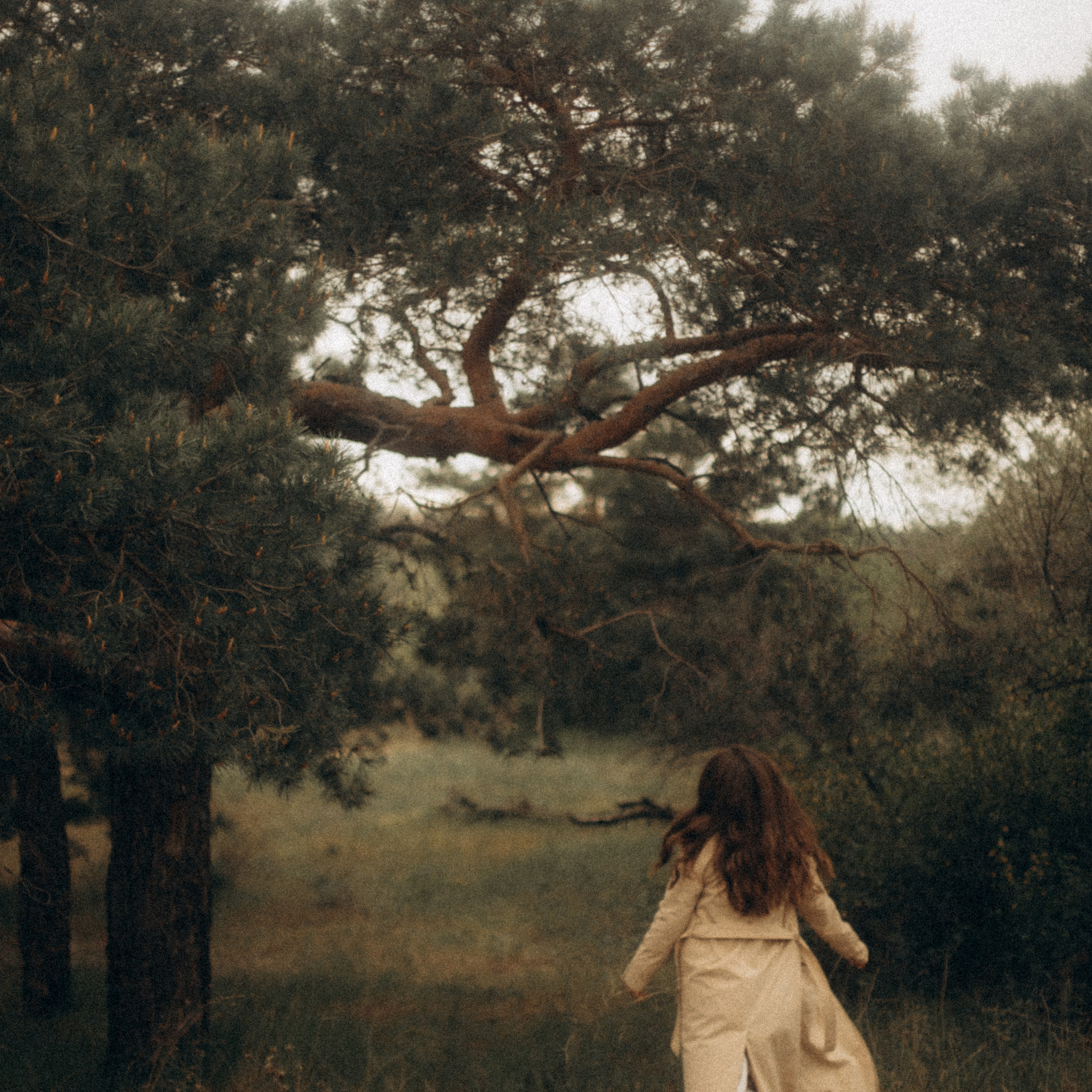 Отзывы. Семейный и детский фотограф Юлия Шох