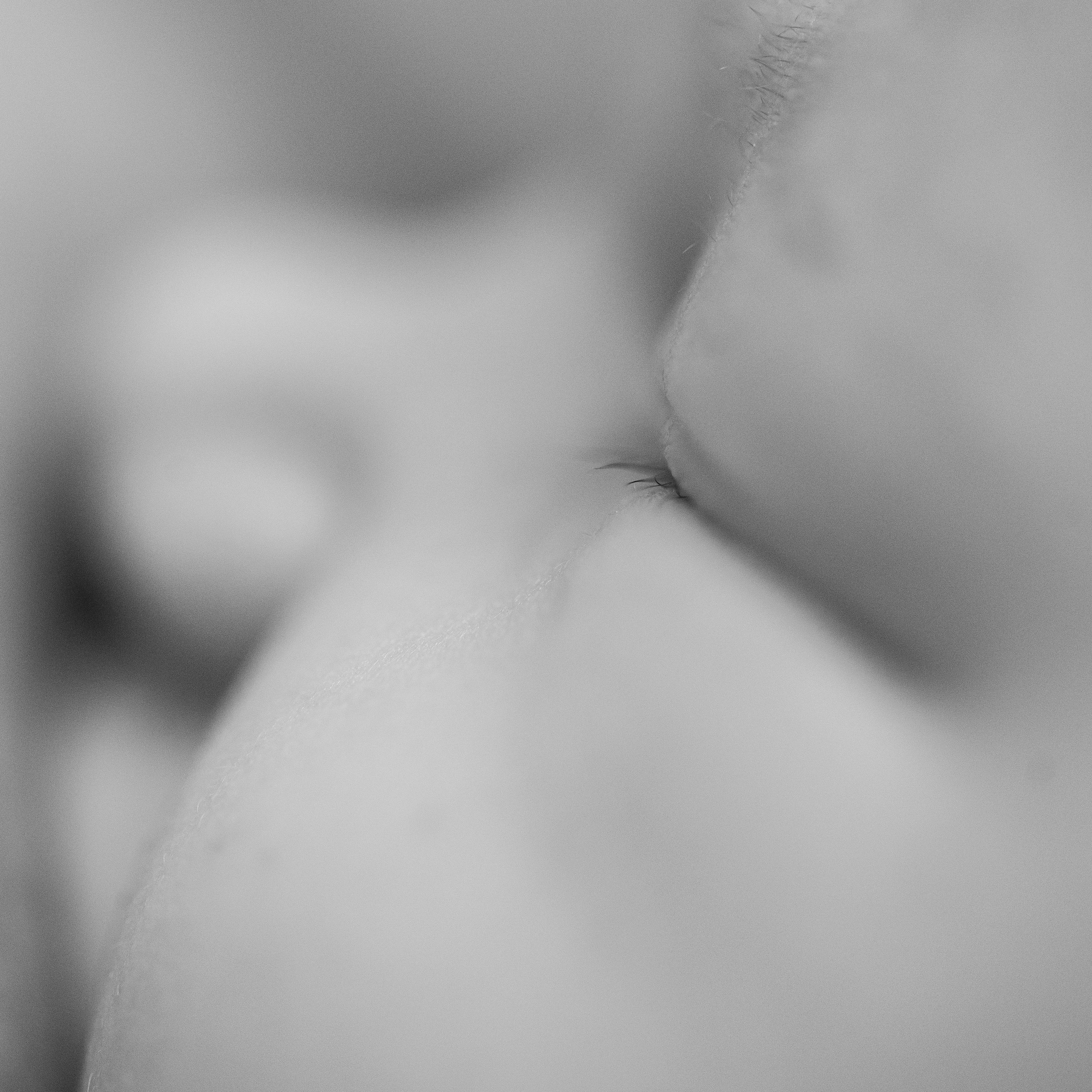 Выписка Варвары