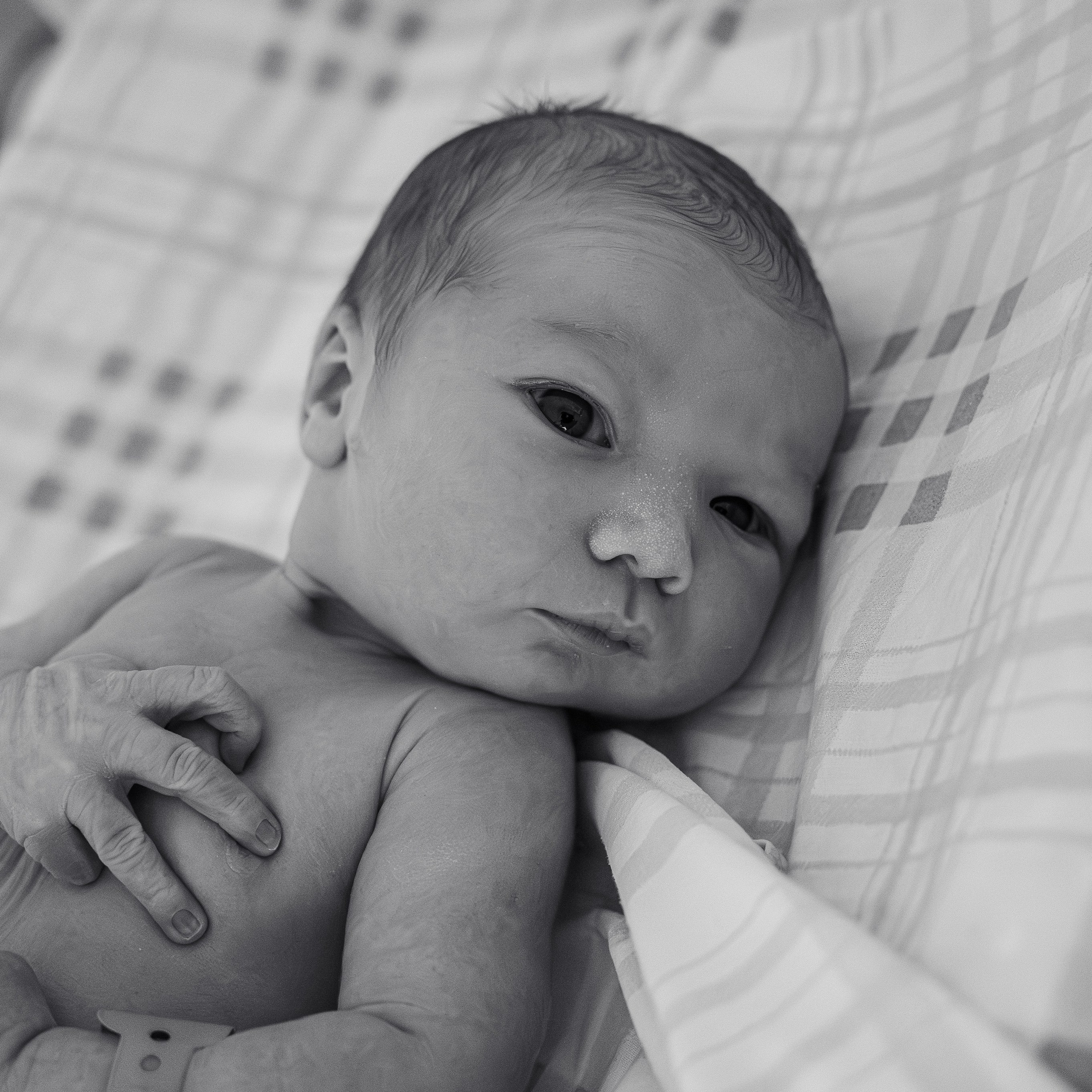 Выписка Михаила