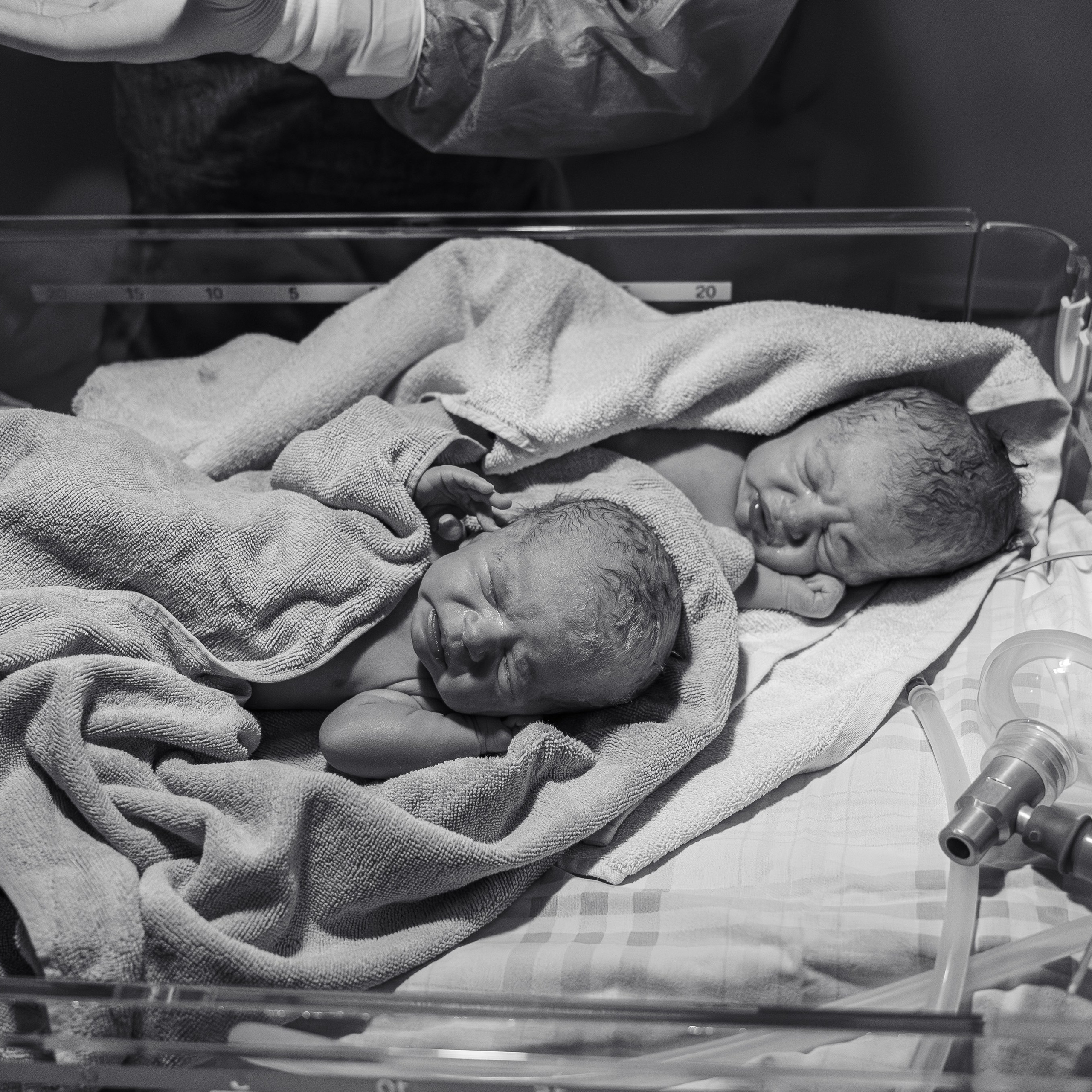 Михаил и Иван родились