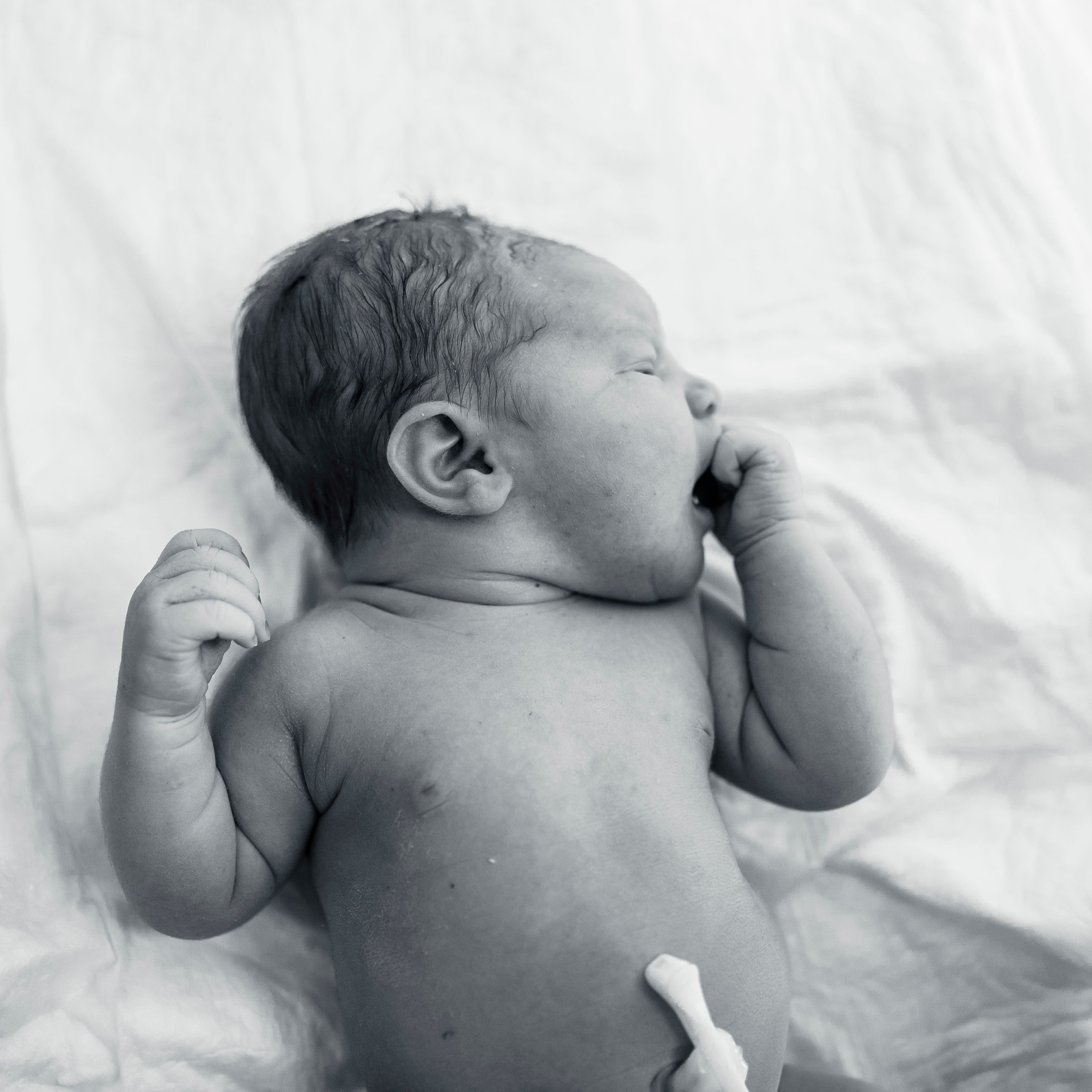 Любовь родилась