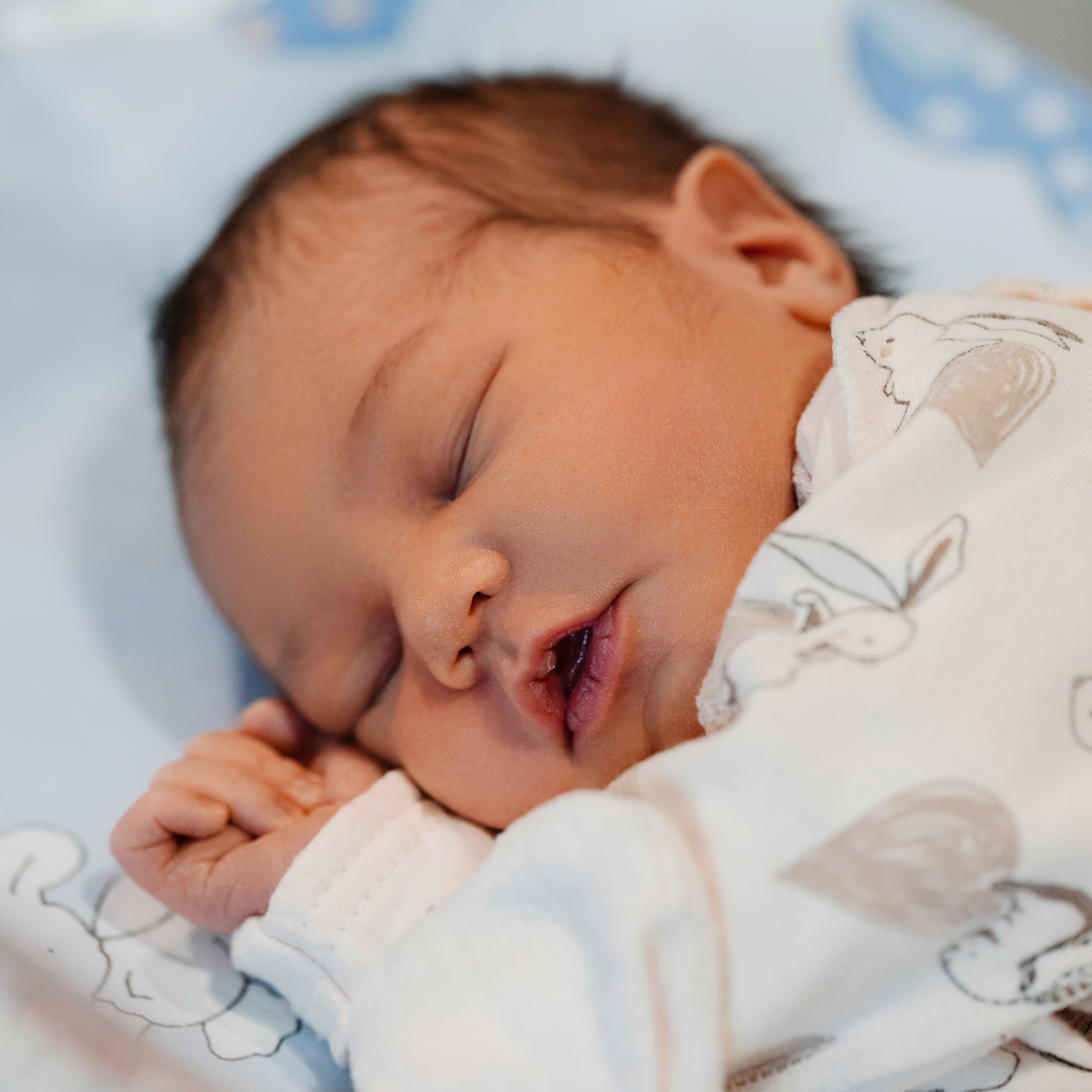 Выписка Маюши