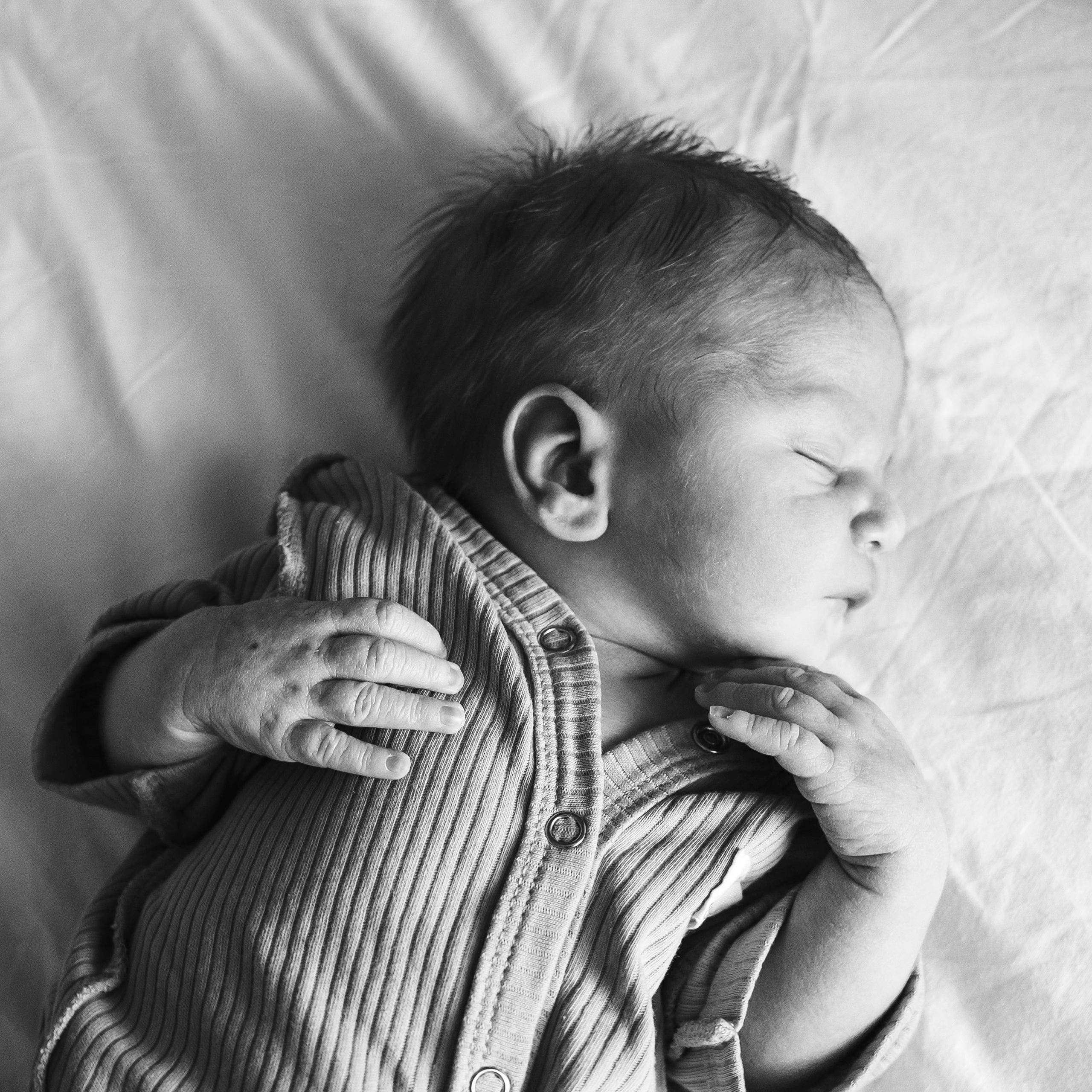 Выписка Тимофея