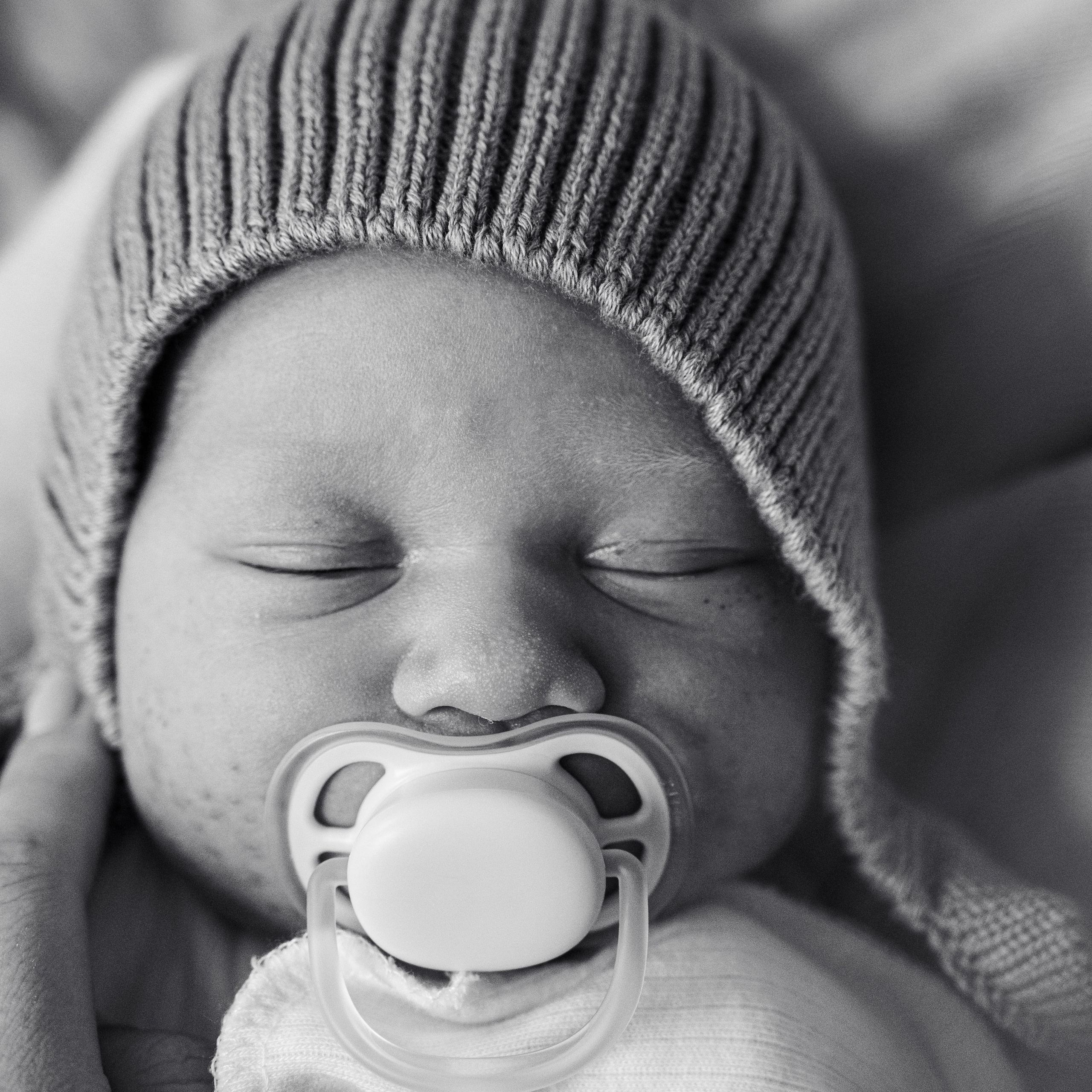 Выписка Льва