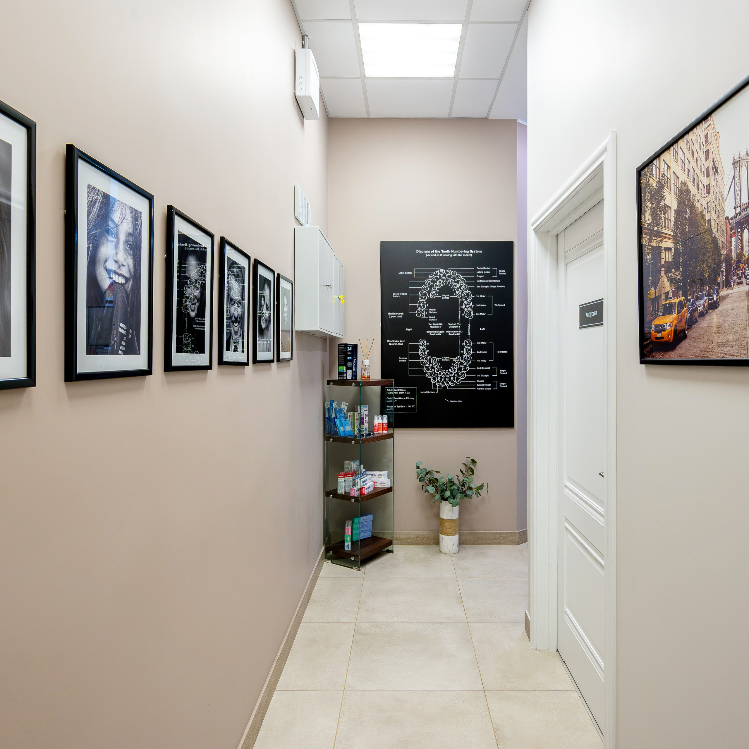 Стоматология Ars Dental Clinic