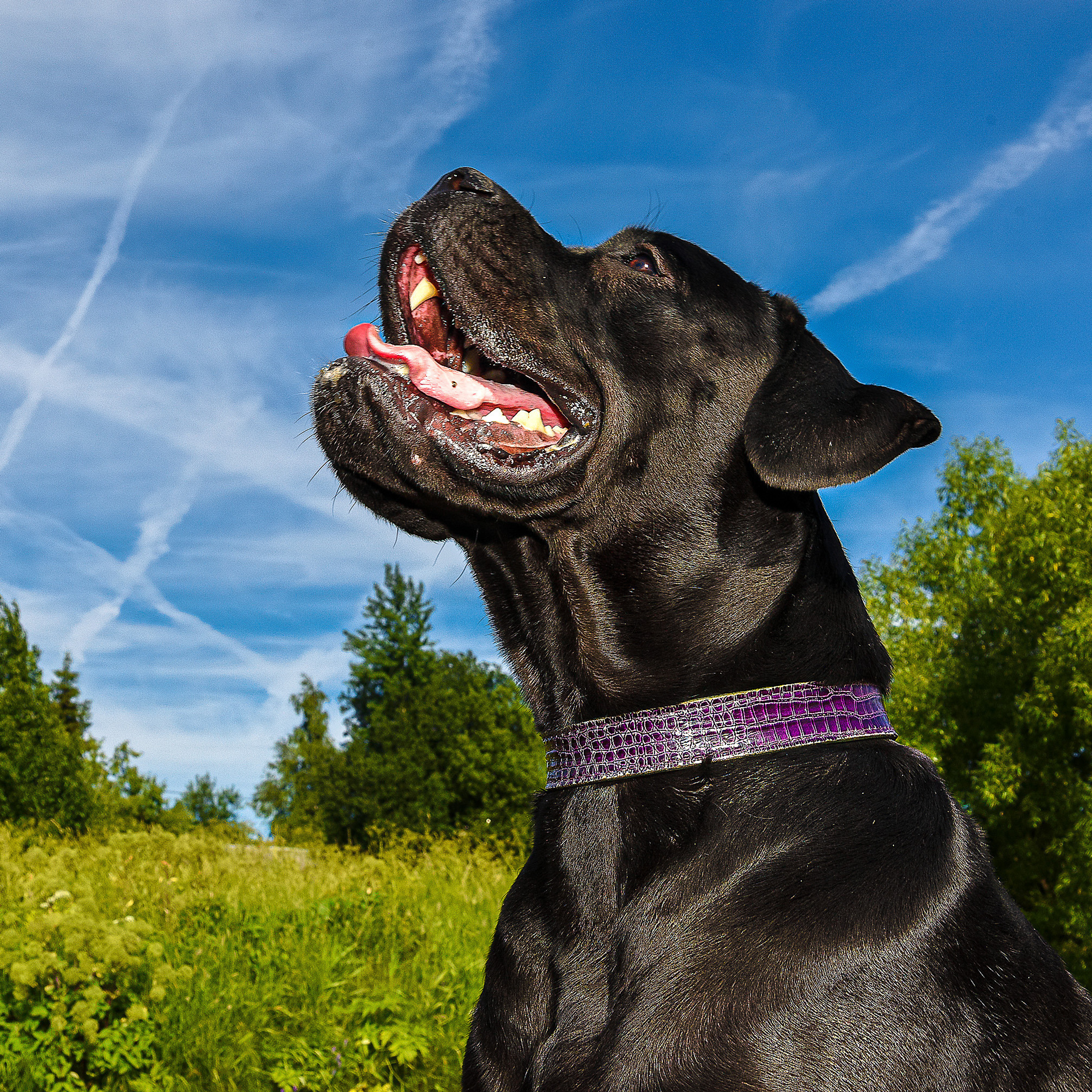 Отзывы. Интерьерный фотограф. Фото- видеосъемка недвижимости Санкт-Петербург