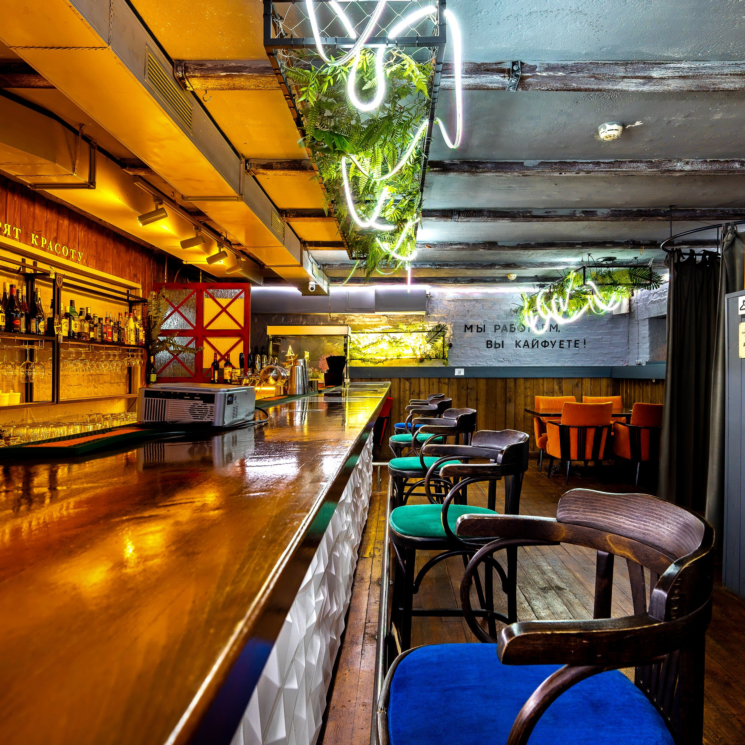 Бар ПитербургЧики