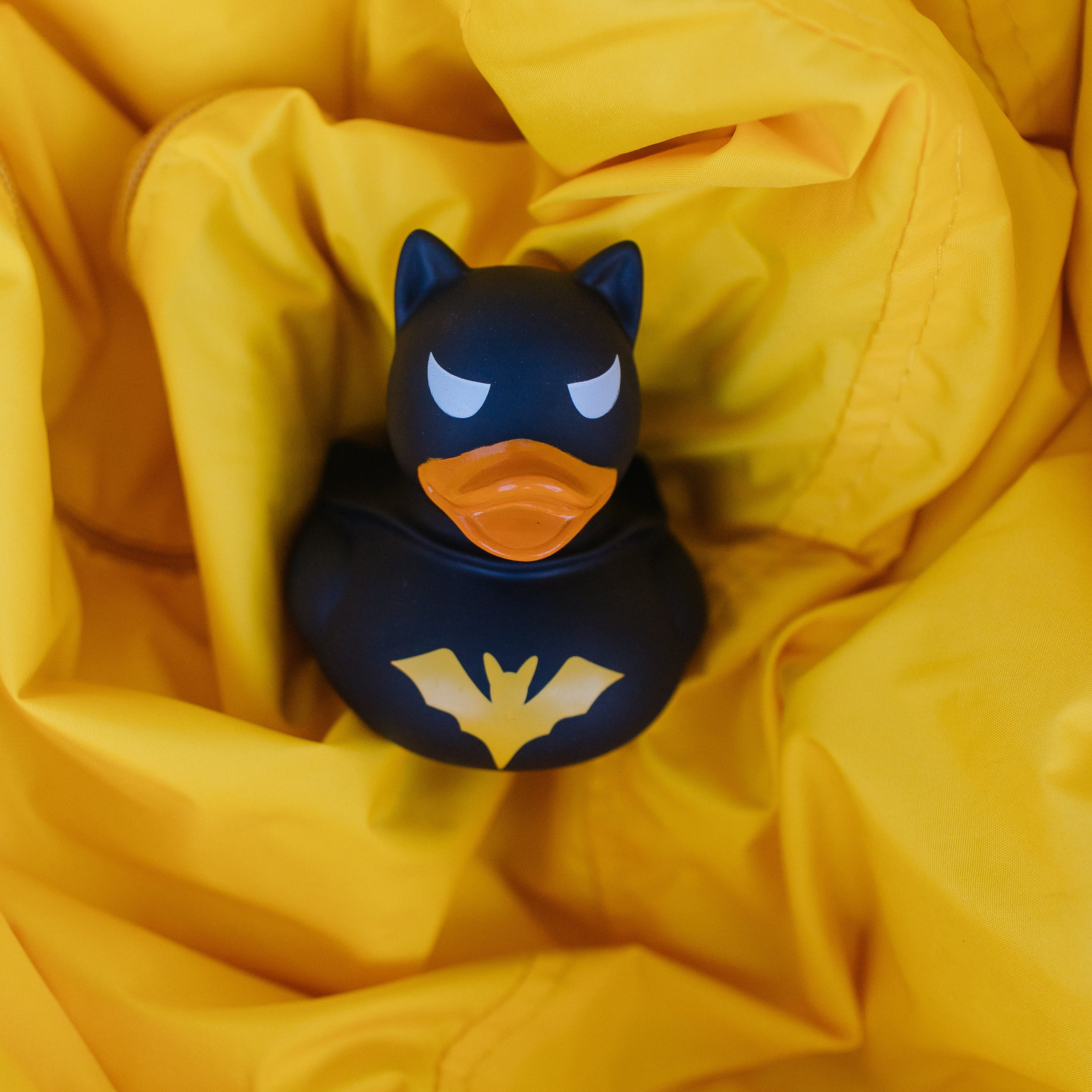 День рождения. Свадебный фотограф в Красноярске