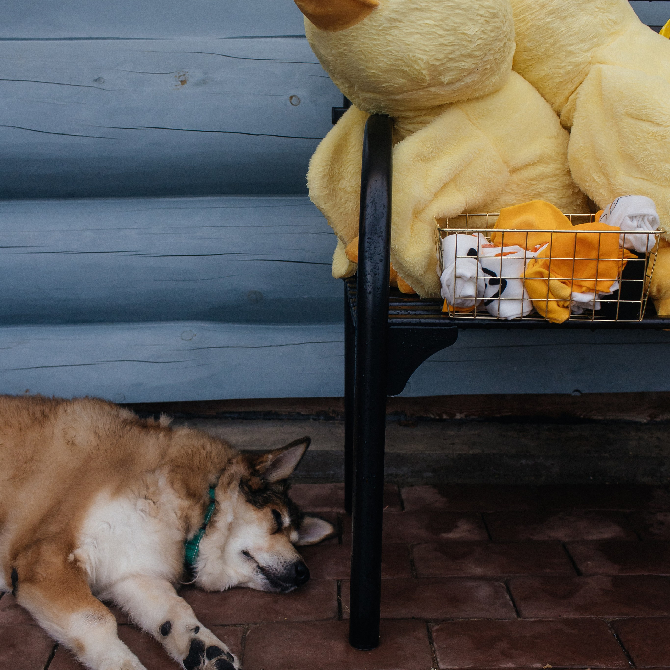 День рождения. Свадебный фотограф в Красноярске