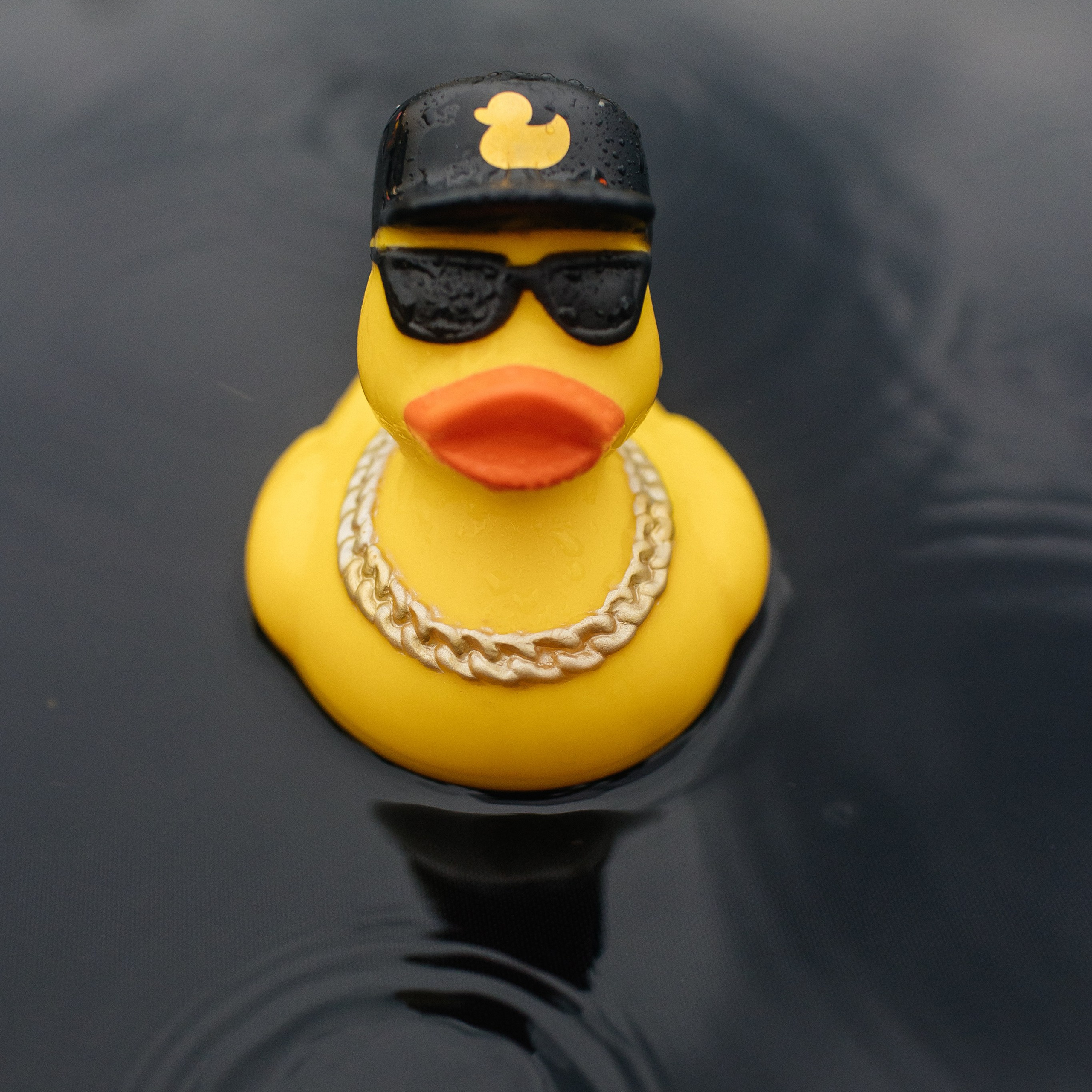 День рождения. Свадебный фотограф в Красноярске