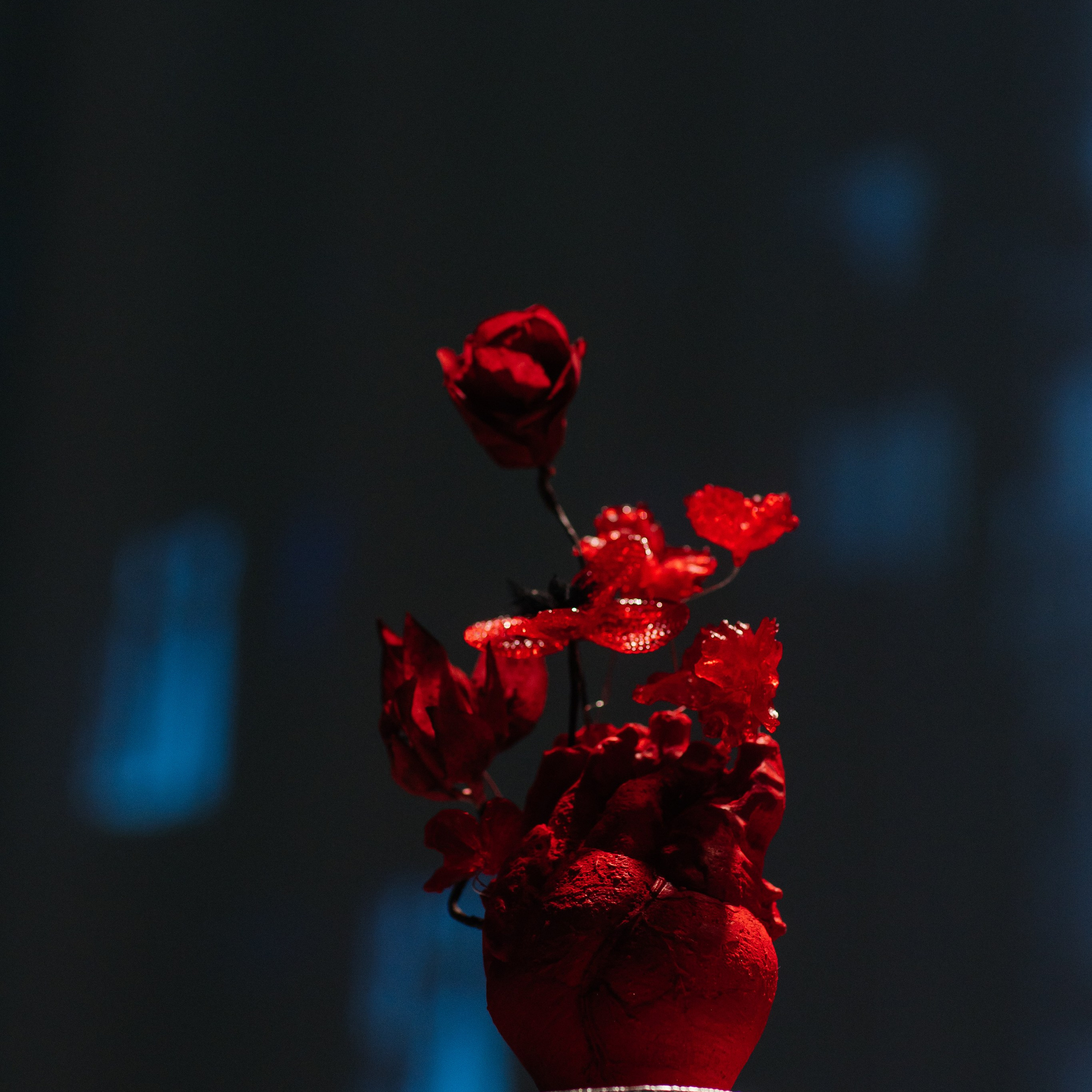 Wedding Awards Сибирь и Дальний Восток 2024. Свадебный фотограф в Красноярске