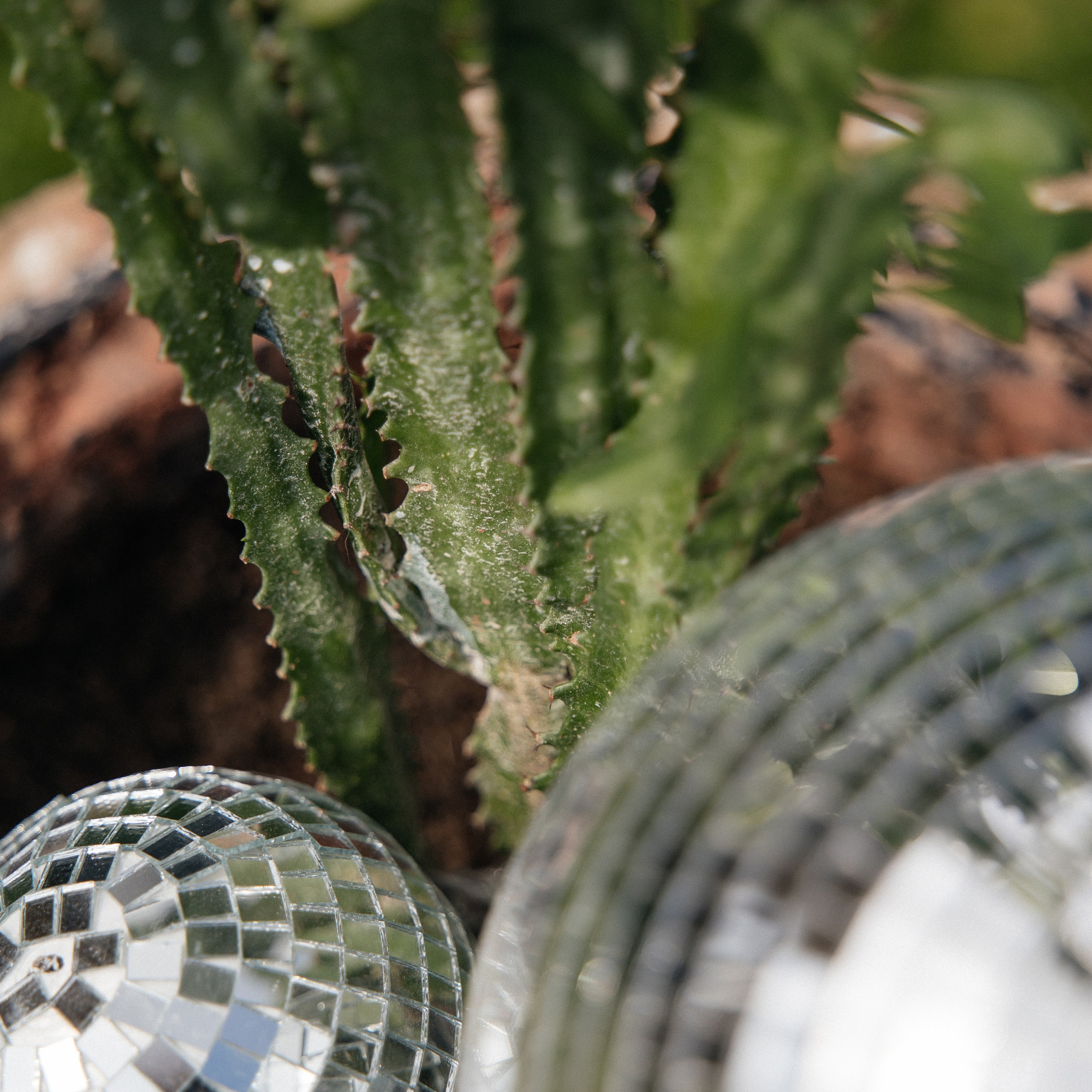 Артем и Дарья. Свадебный фотограф в Красноярске