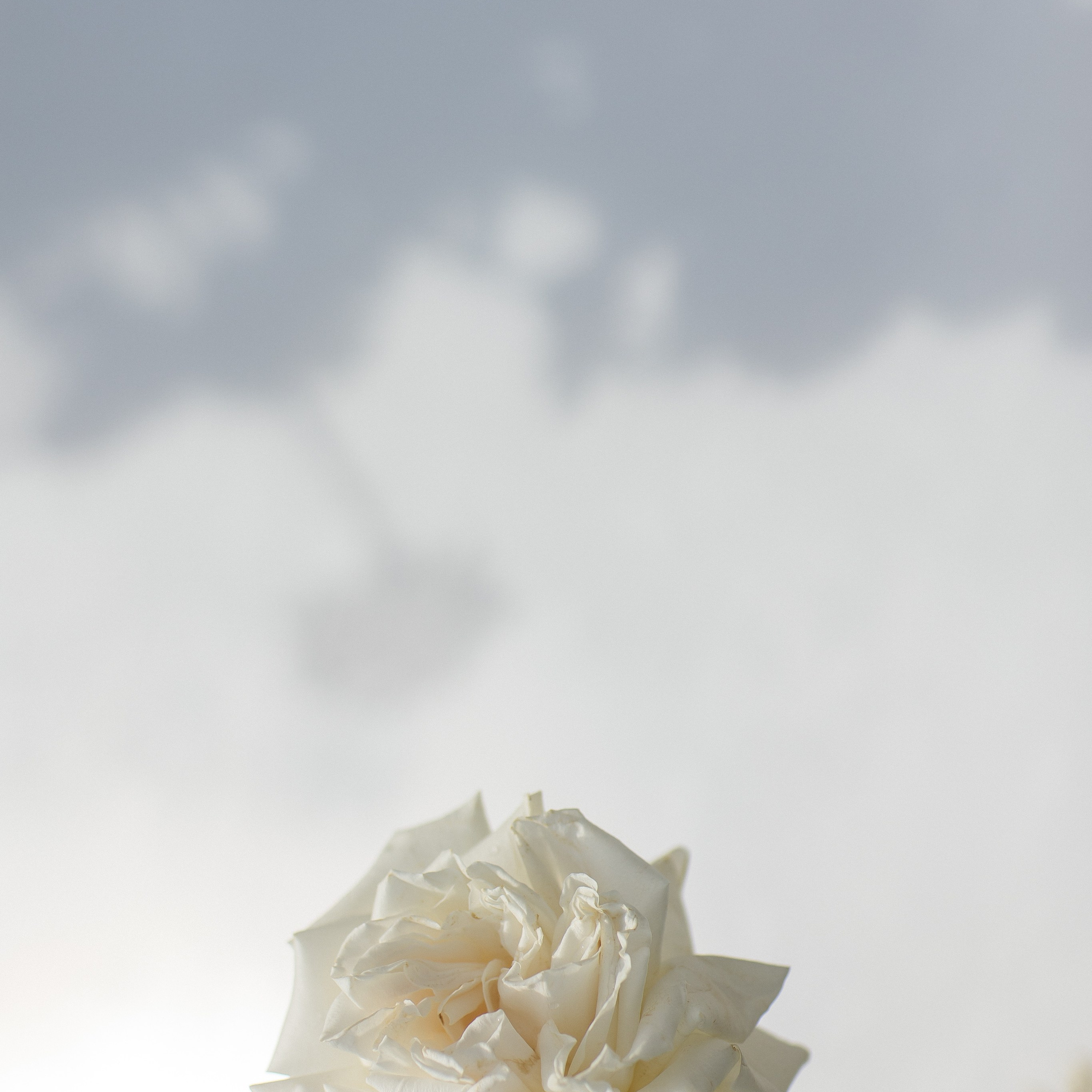 Павел и Полина. Свадебный фотограф в Красноярске