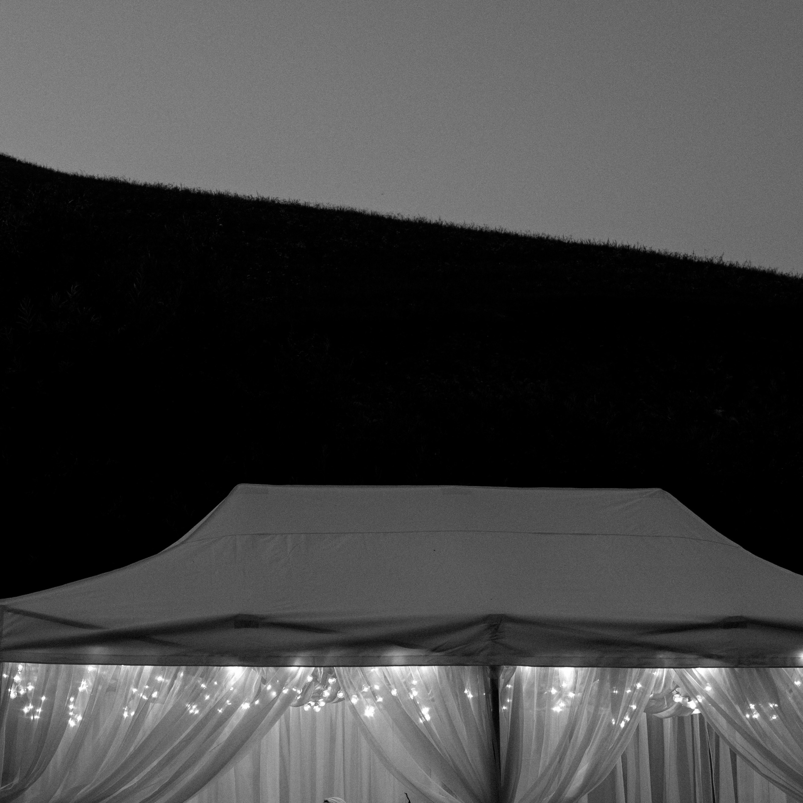 Артем и Дарья. Свадебный фотограф в Красноярске