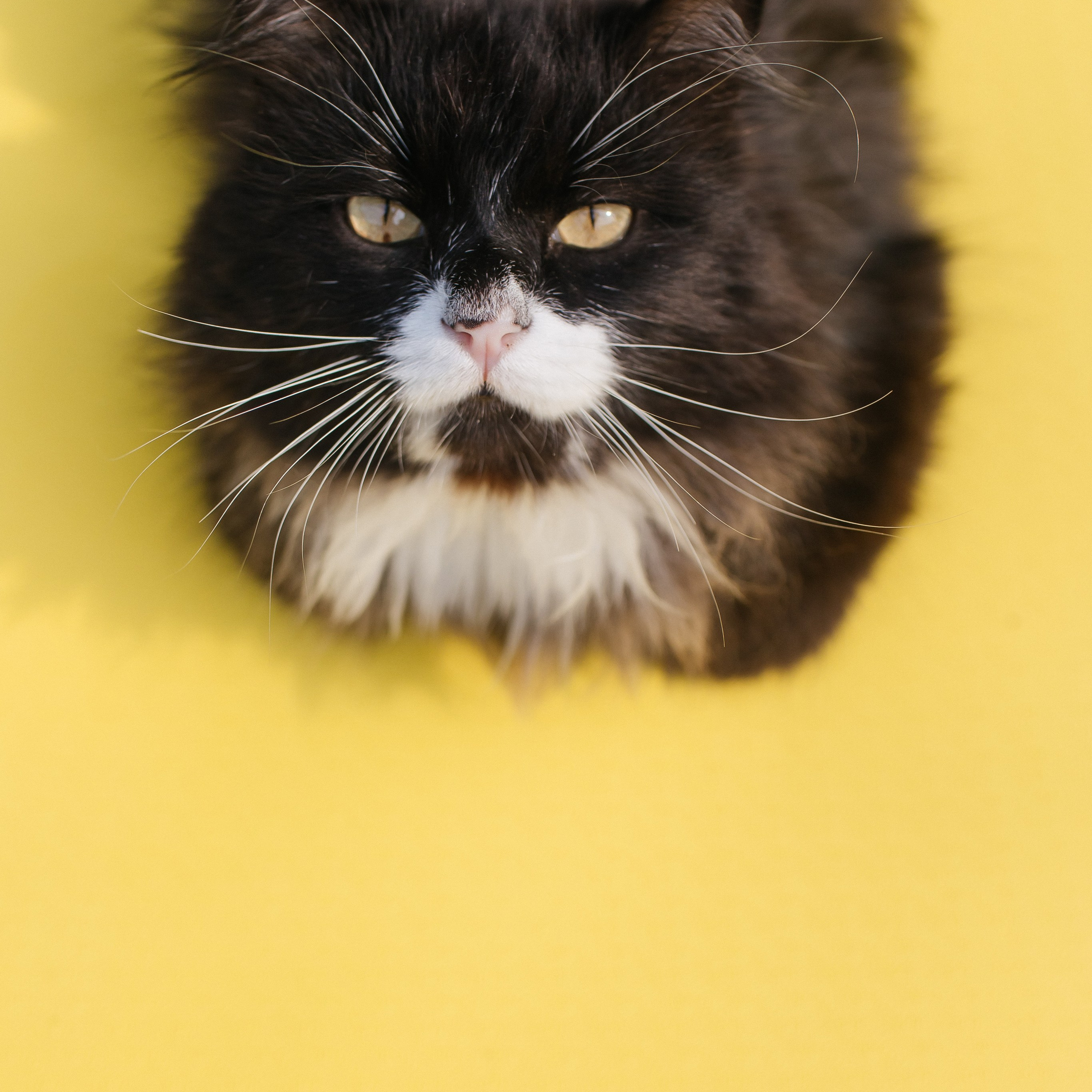 День рождения. Свадебный фотограф в Красноярске