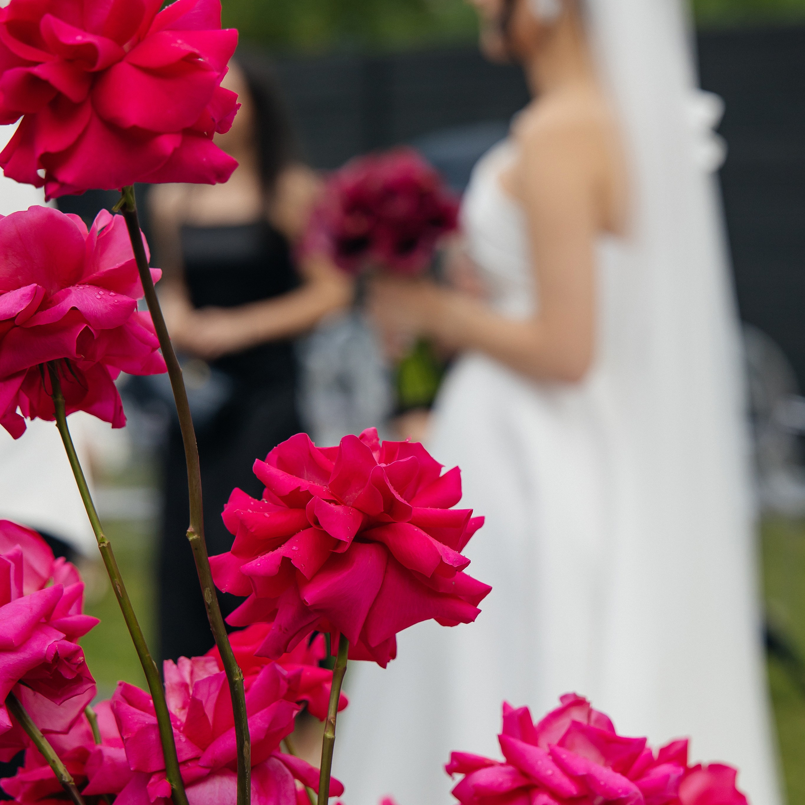 Константин и Ксения. Свадебный фотограф в Красноярске
