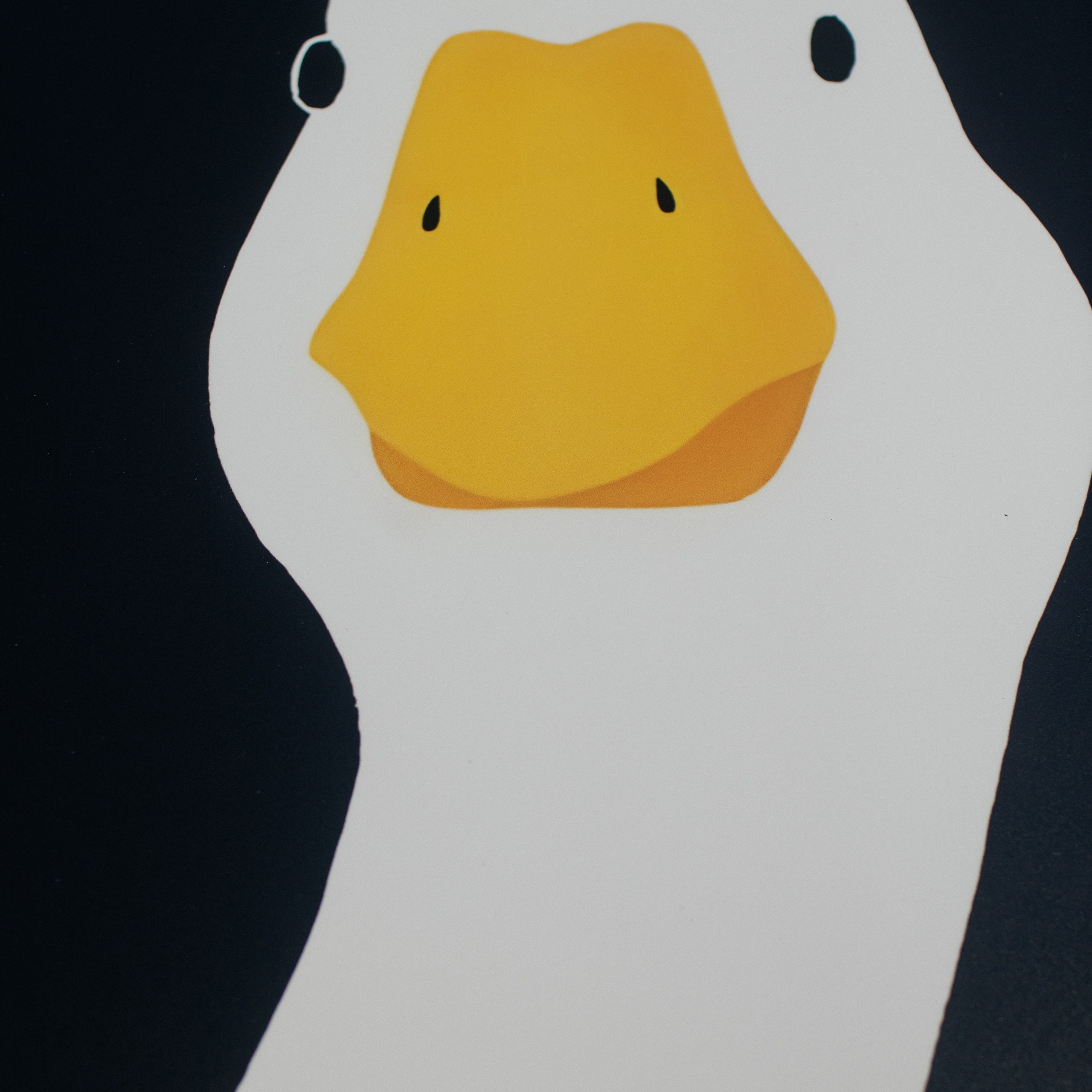 День рождения. Свадебный фотограф в Красноярске