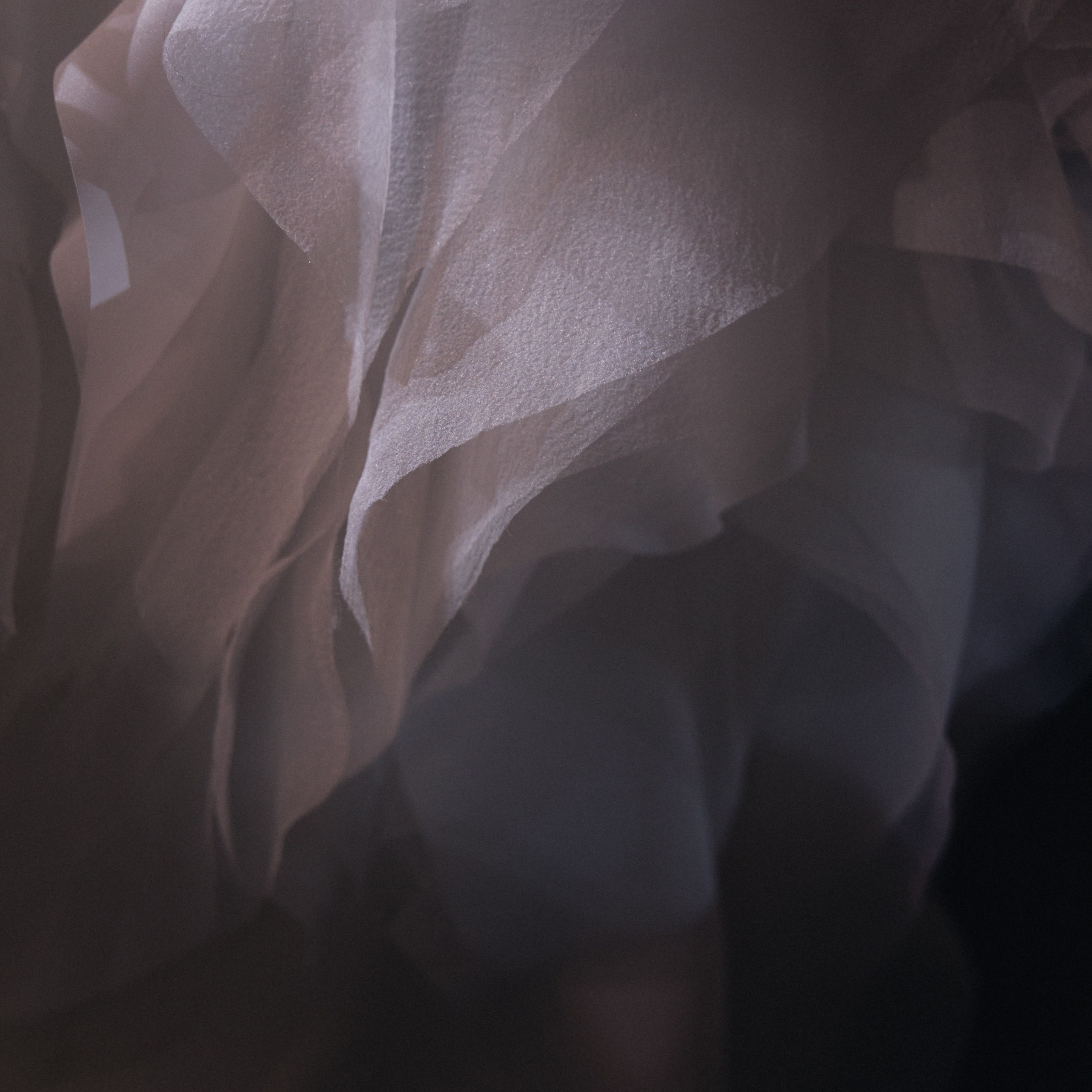 Максим и Анна. Свадебный фотограф в Красноярске