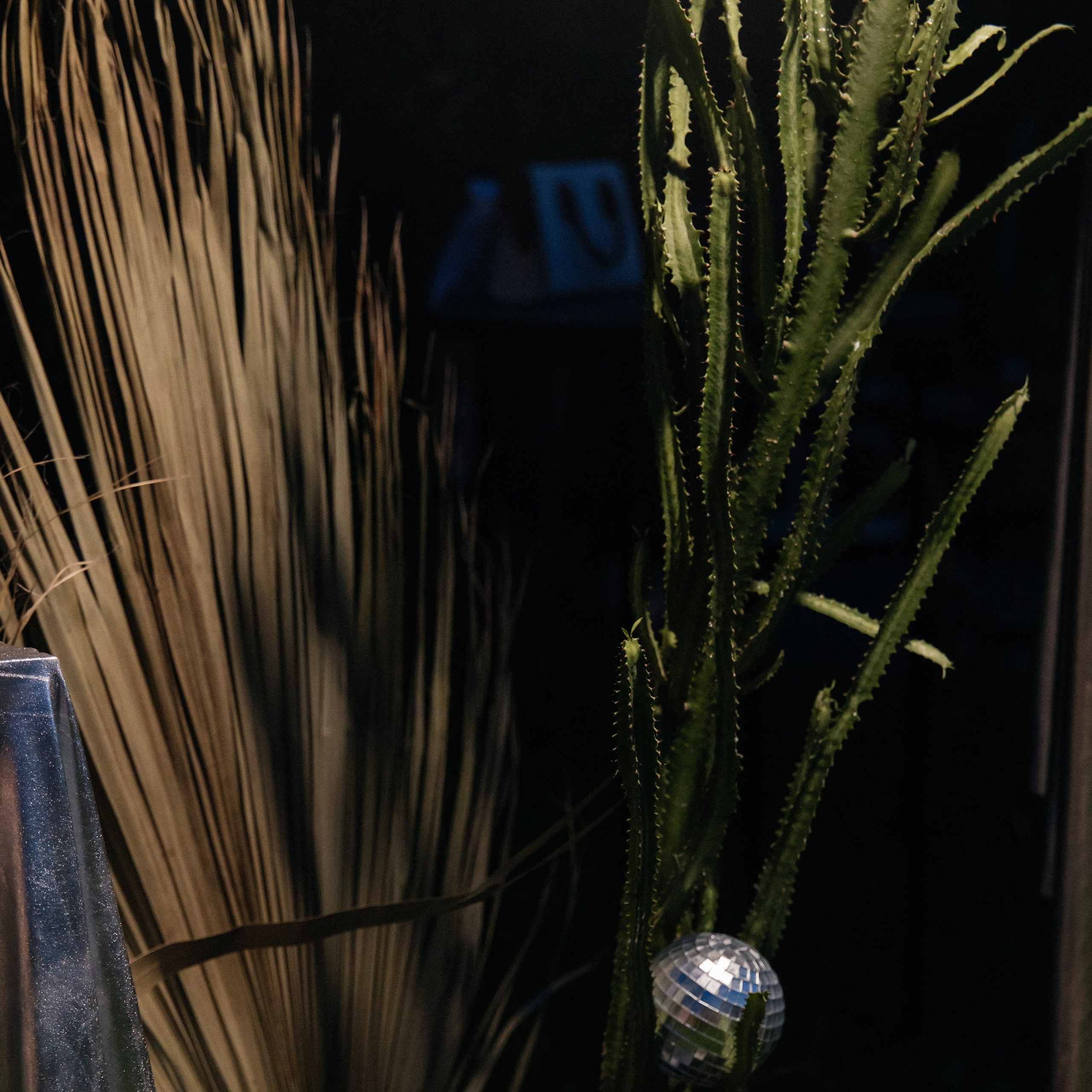 Артем и Дарья. Свадебный фотограф в Красноярске