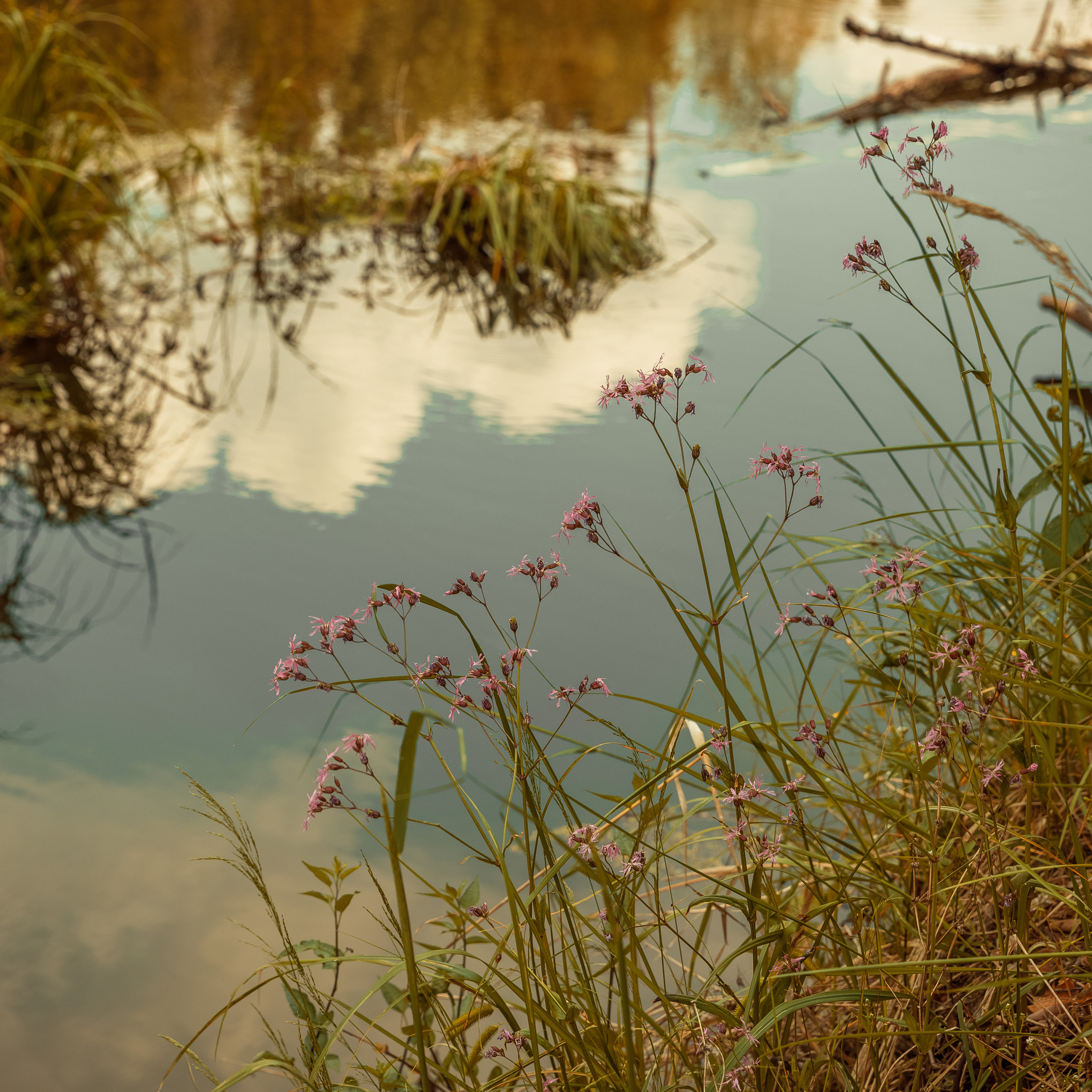 Отзывы. Фотограф Виталий Верескун. Козельск-Калуга