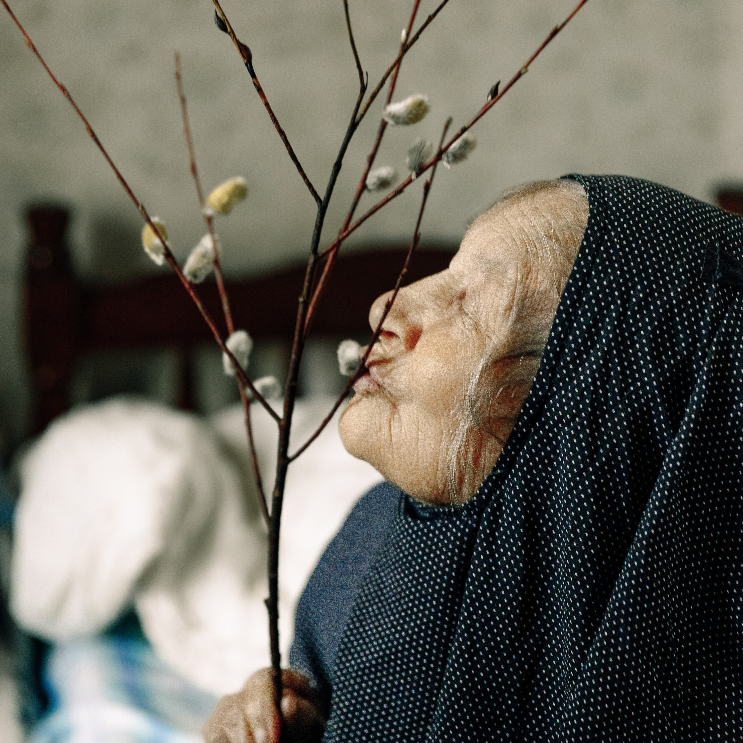 Вербное воскресенье